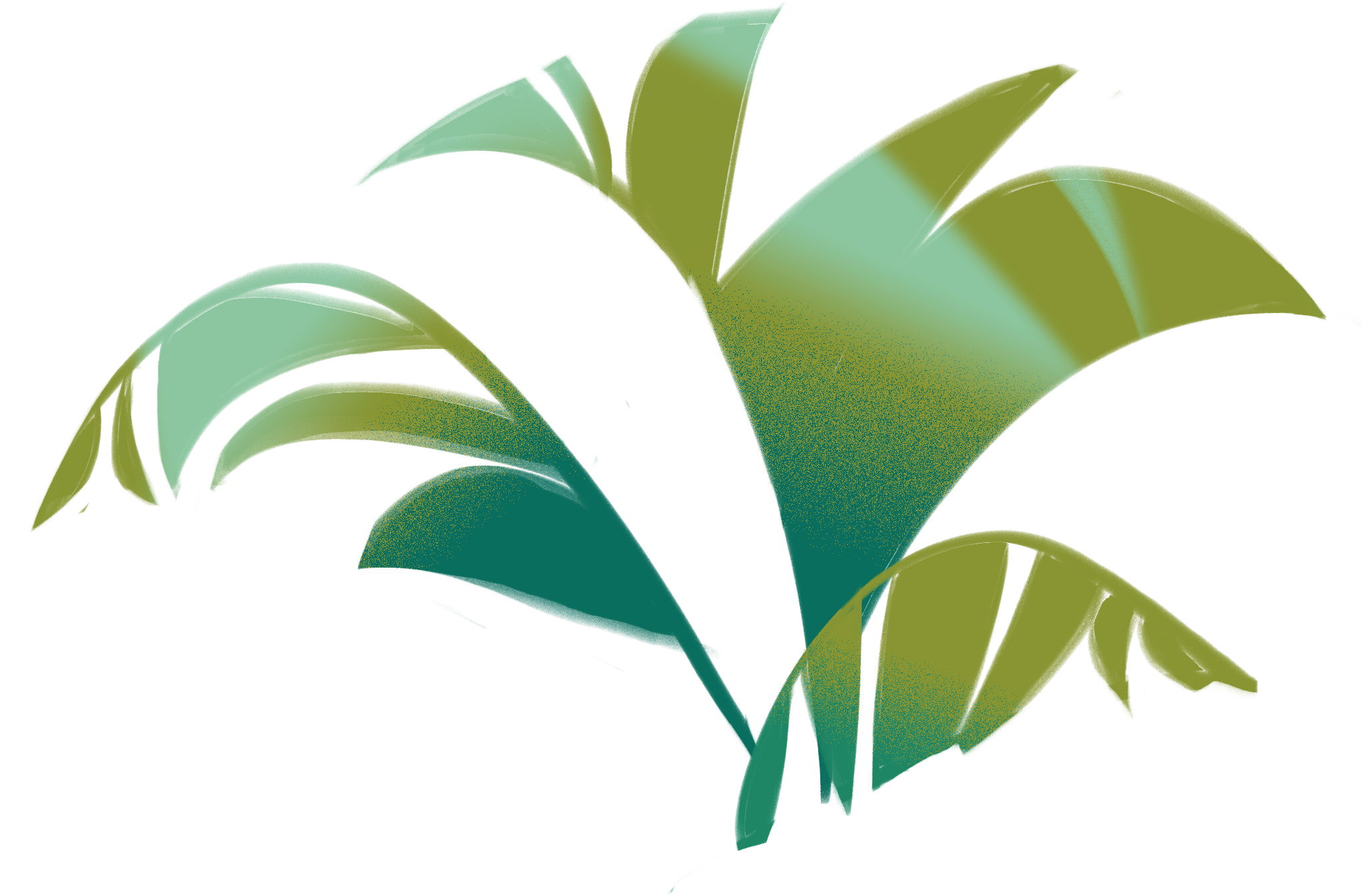 0203_HOLA_STB_0003_Layer-32.png