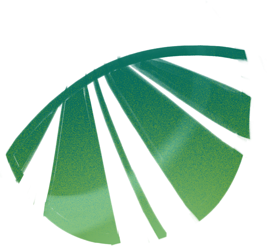 0203_HOLA_STB_0005_Layer-34.png