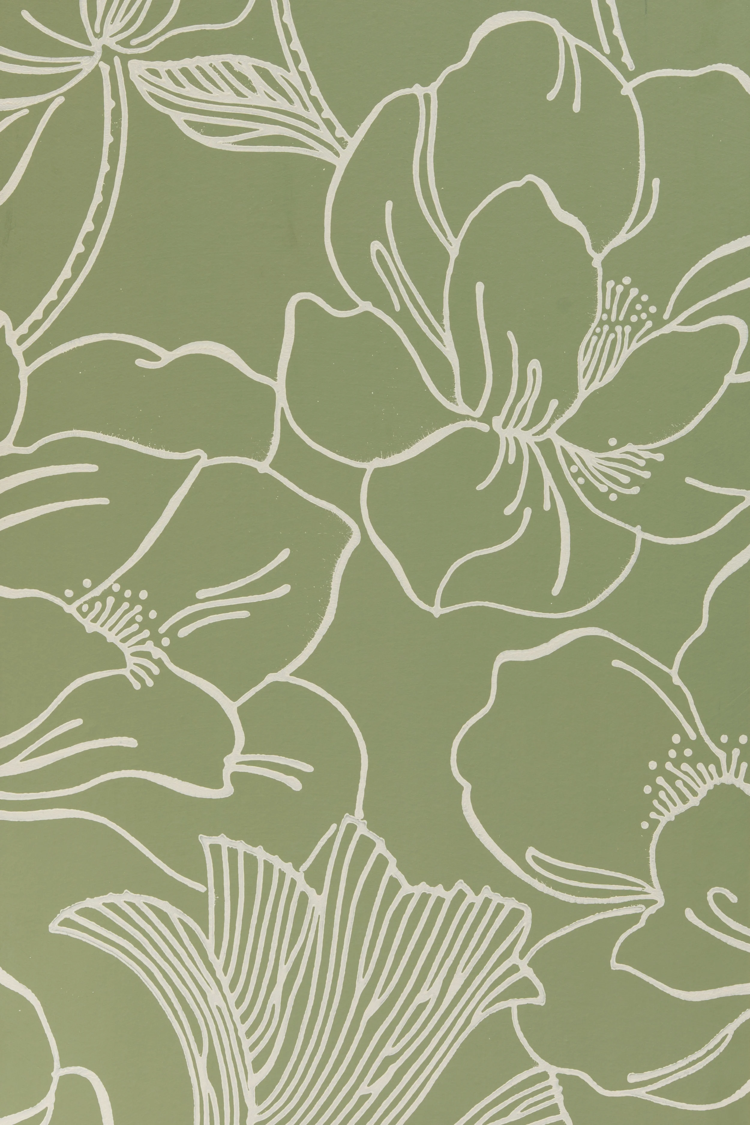 Helleborous 5606 $285 Per Roll Order Now