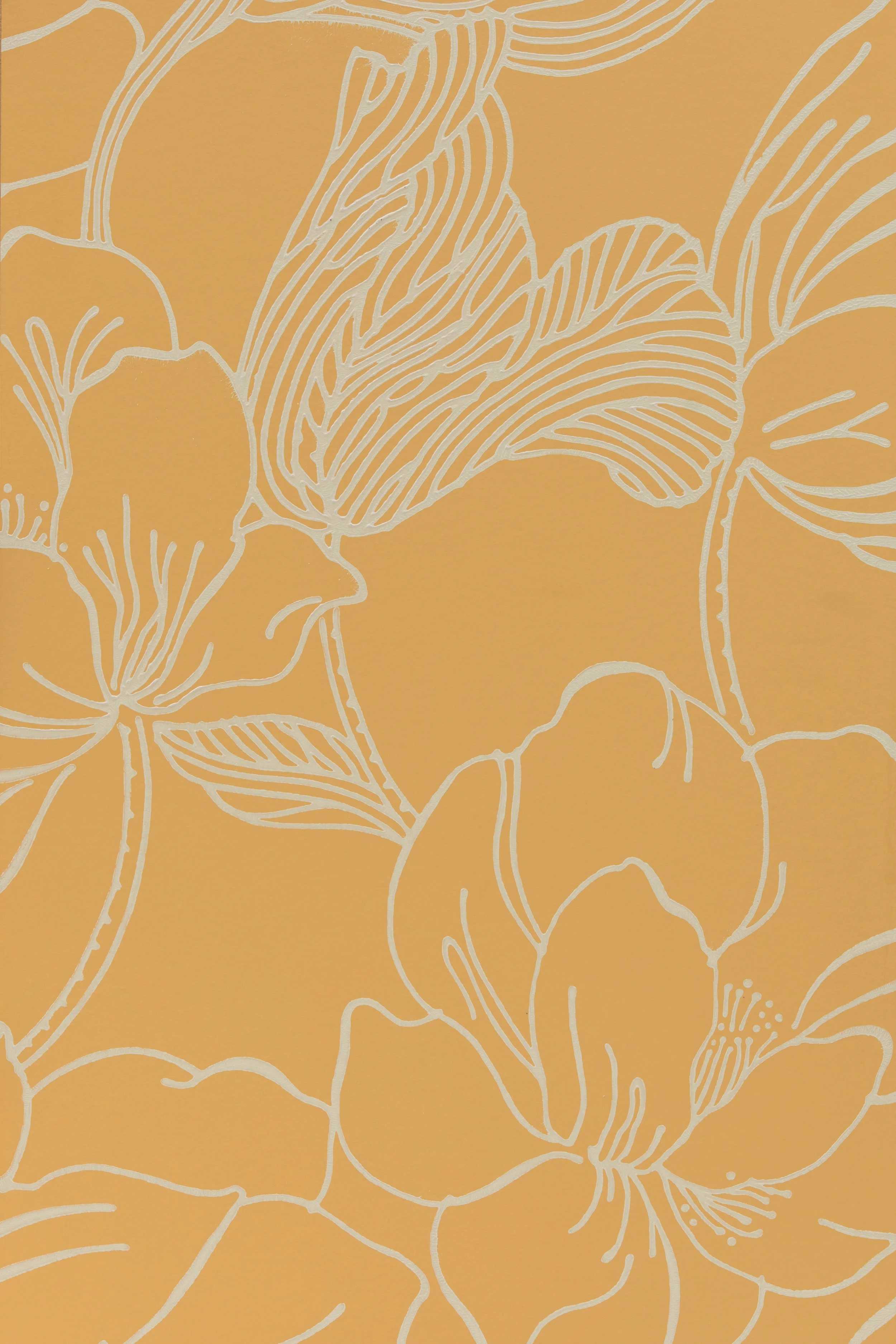 Helleborous 5607 $285 Per Roll Order Now