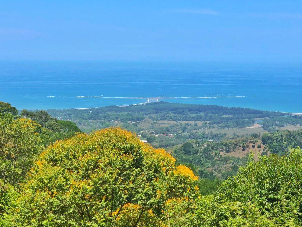 Whales Tail Costa Rica: Vista Celestial 