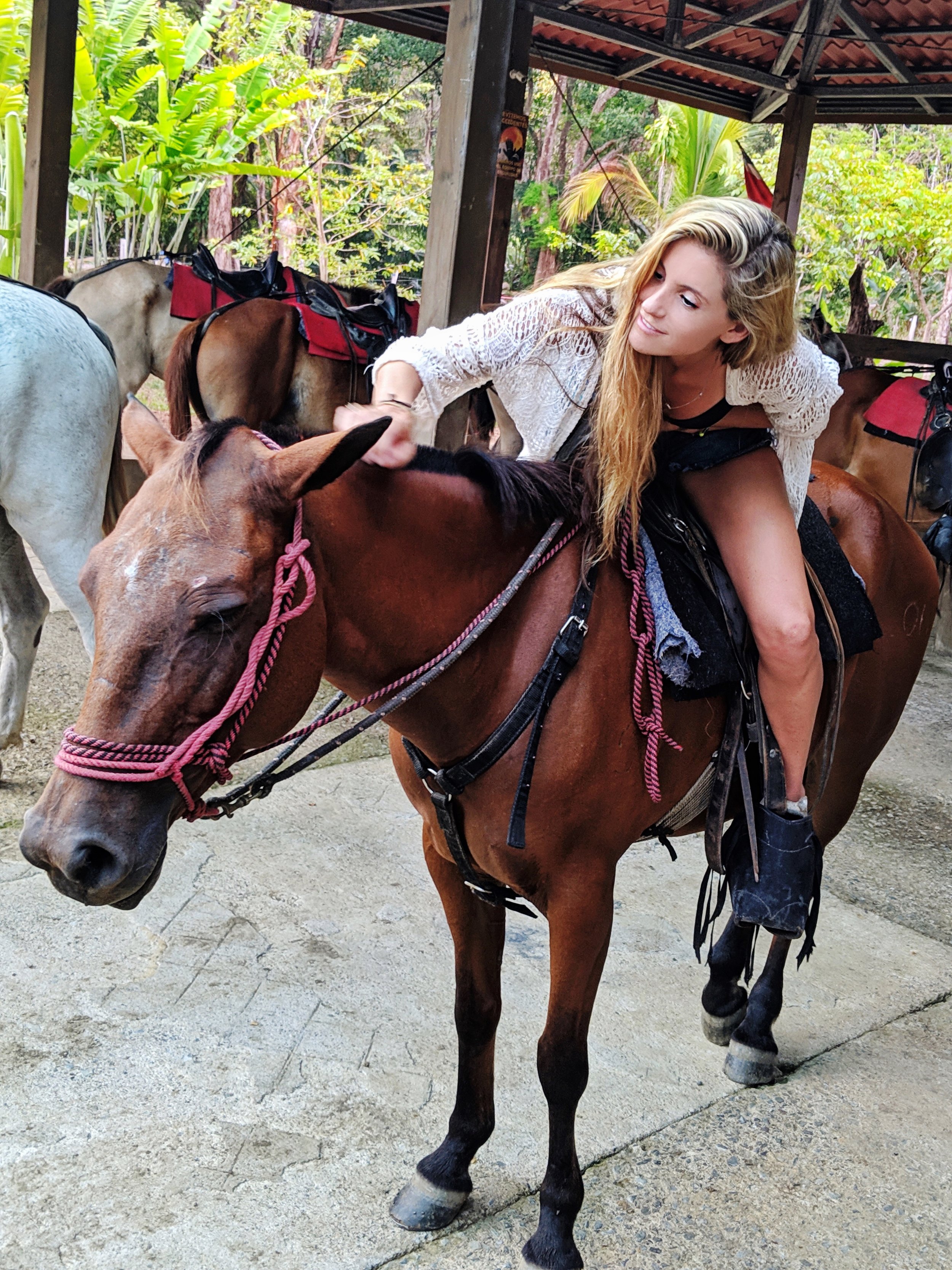 Horseback Riding Costa Rica: Vista Celestial 