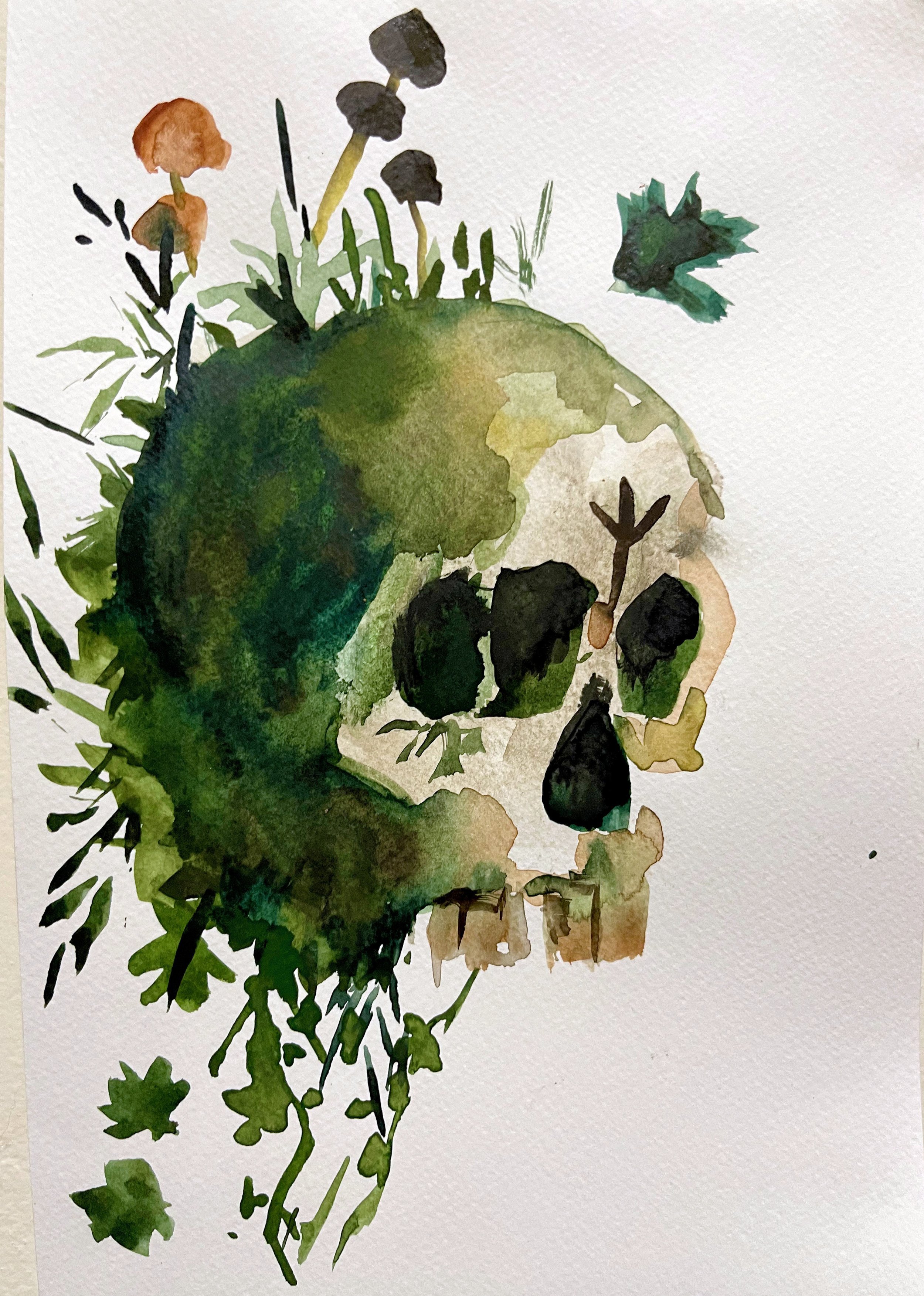 Found Skull 1