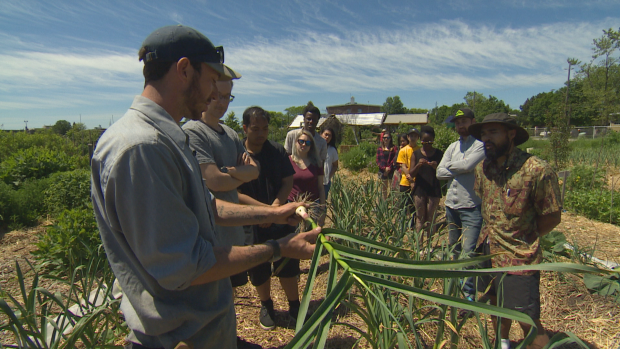 A crop of students take a tour of PACT farm at David Wilson Memorial Garden in North York to learn about fresh produce and how to utilize it while preparing Filipino cuisine. (Oliver Walters/CBC News)