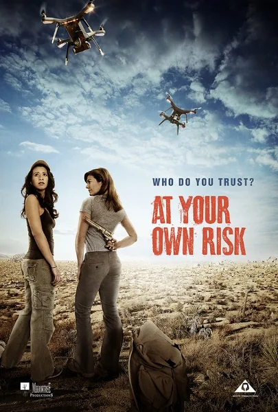AtYourOwnRiskPOSTER.jpg