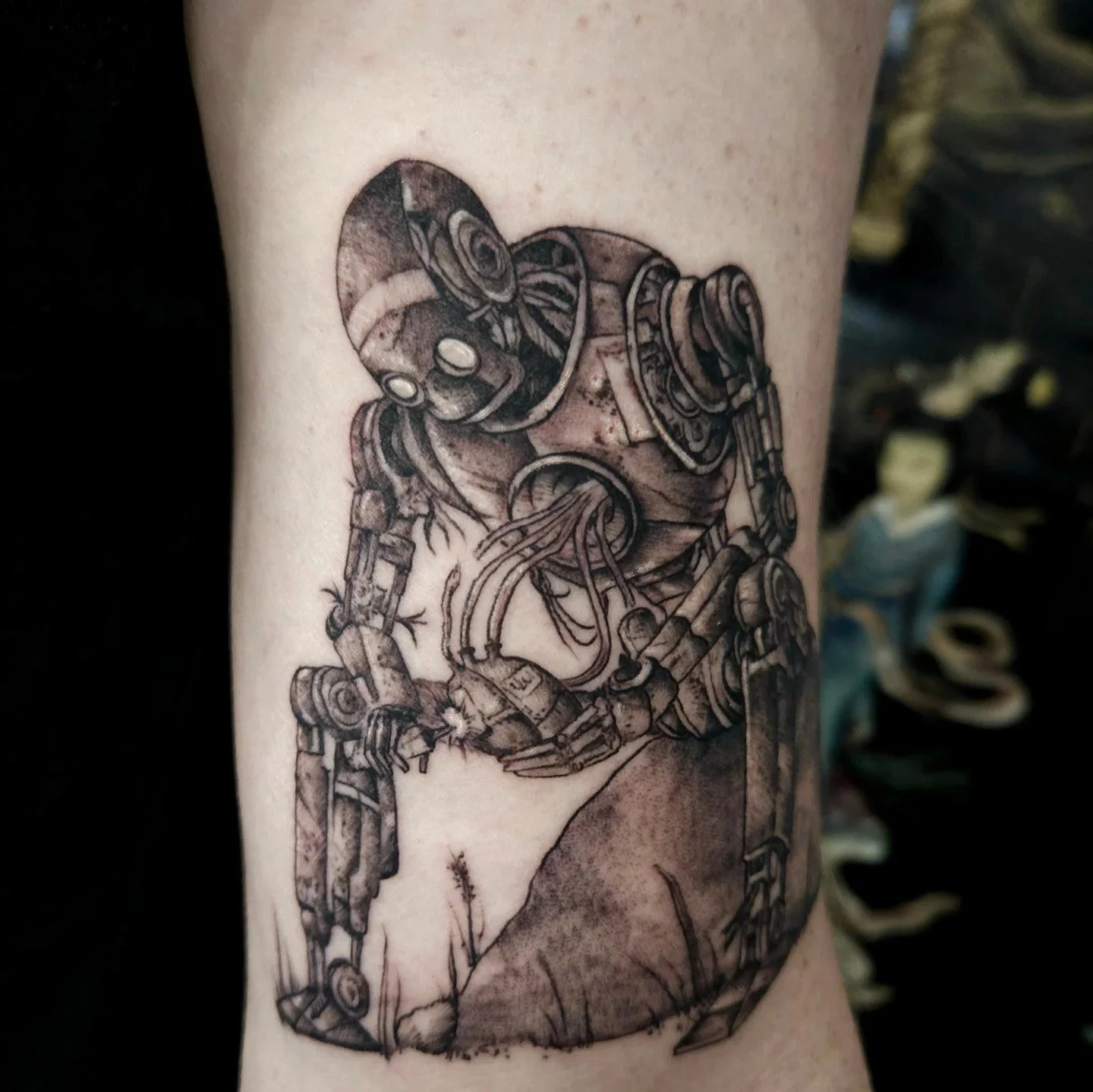 Whats your favorite picture in this collection?
Booking link in my profile. Openings in February!