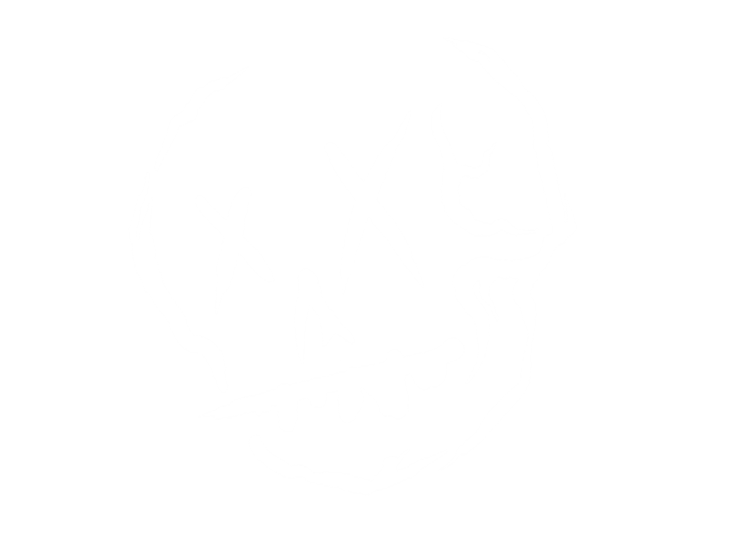 SKULL N CO Tattoo Shop