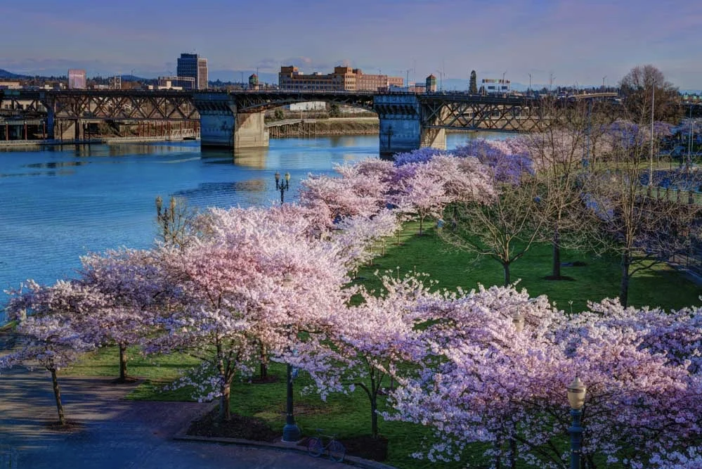 Springtime in Portland........by drone, link here