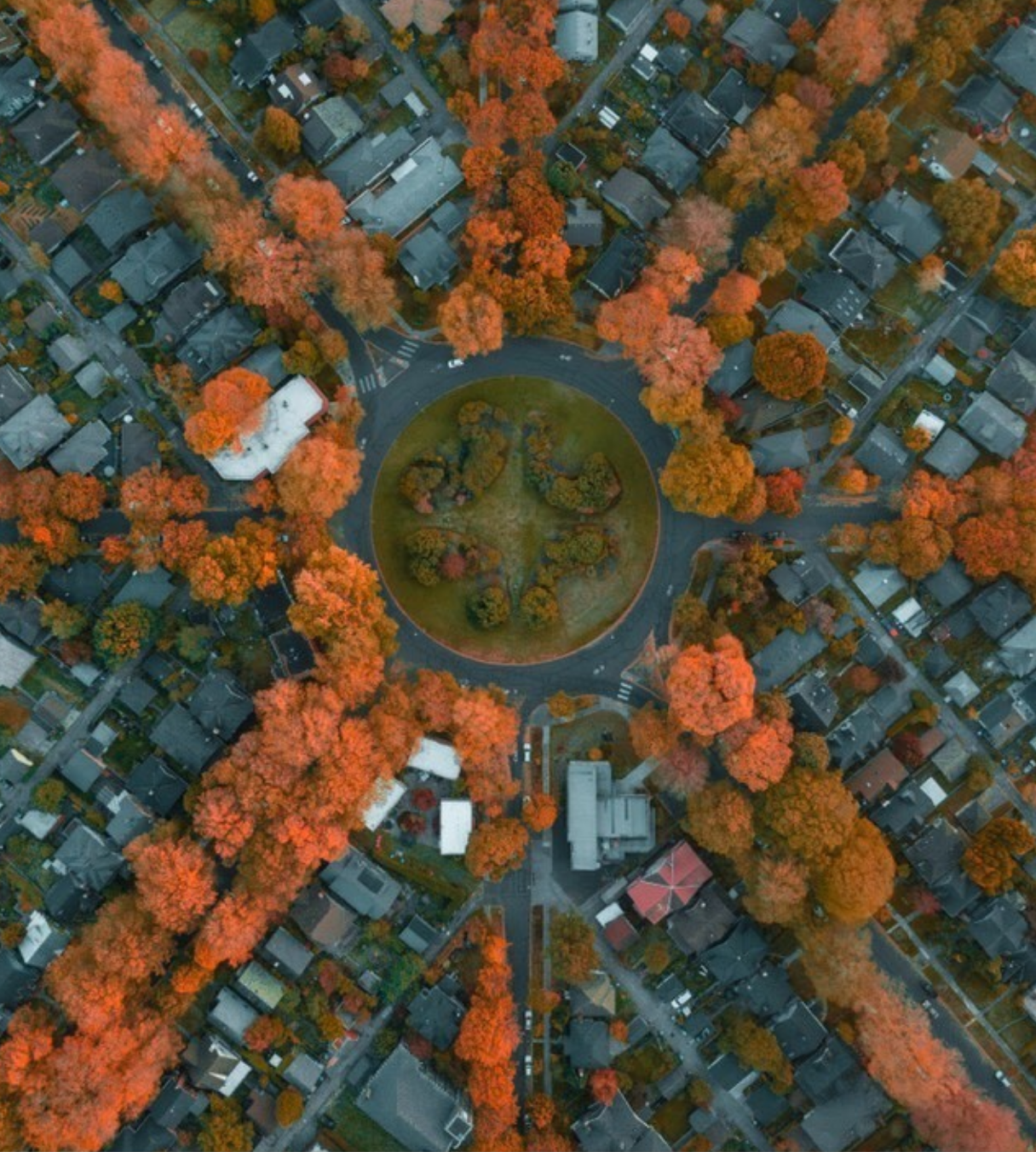  Ladd’s Addition is a beautiful tree-lined historic neighborhood 