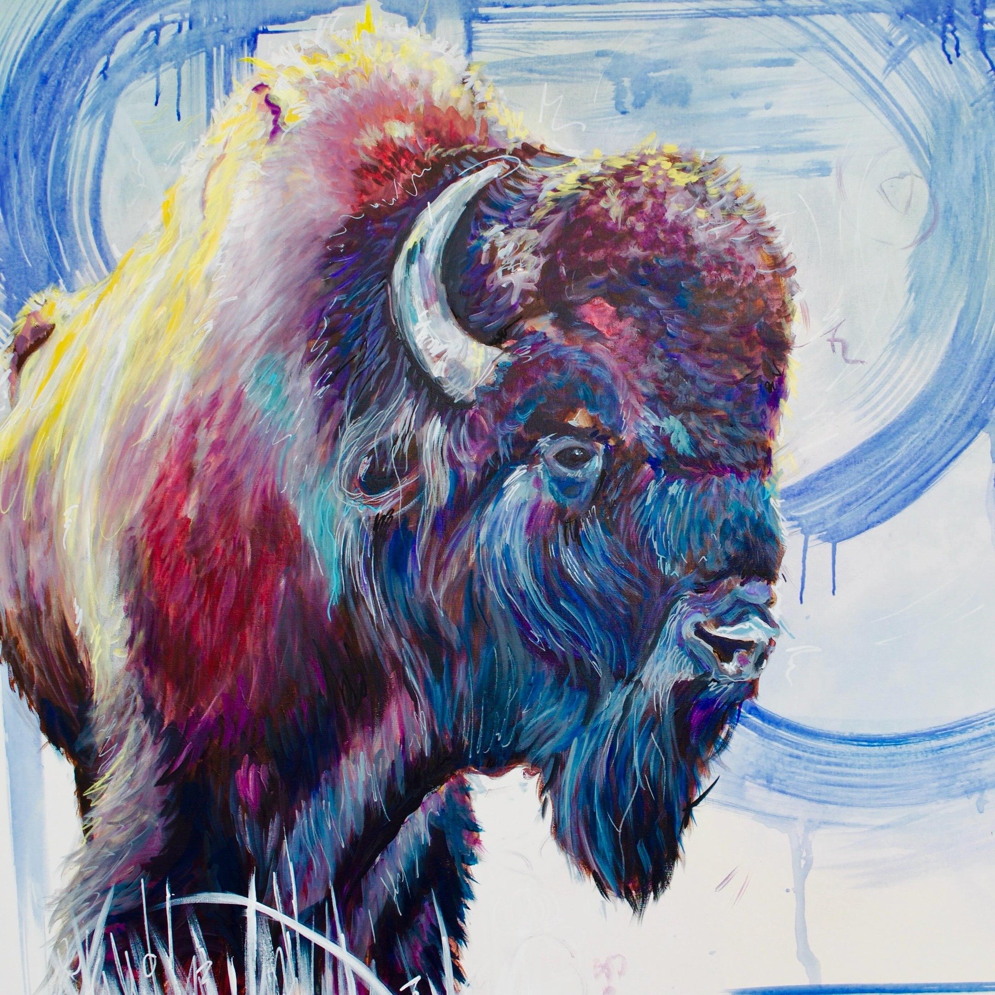 From the Archives. 
#bison #bigwild #wildlifeart