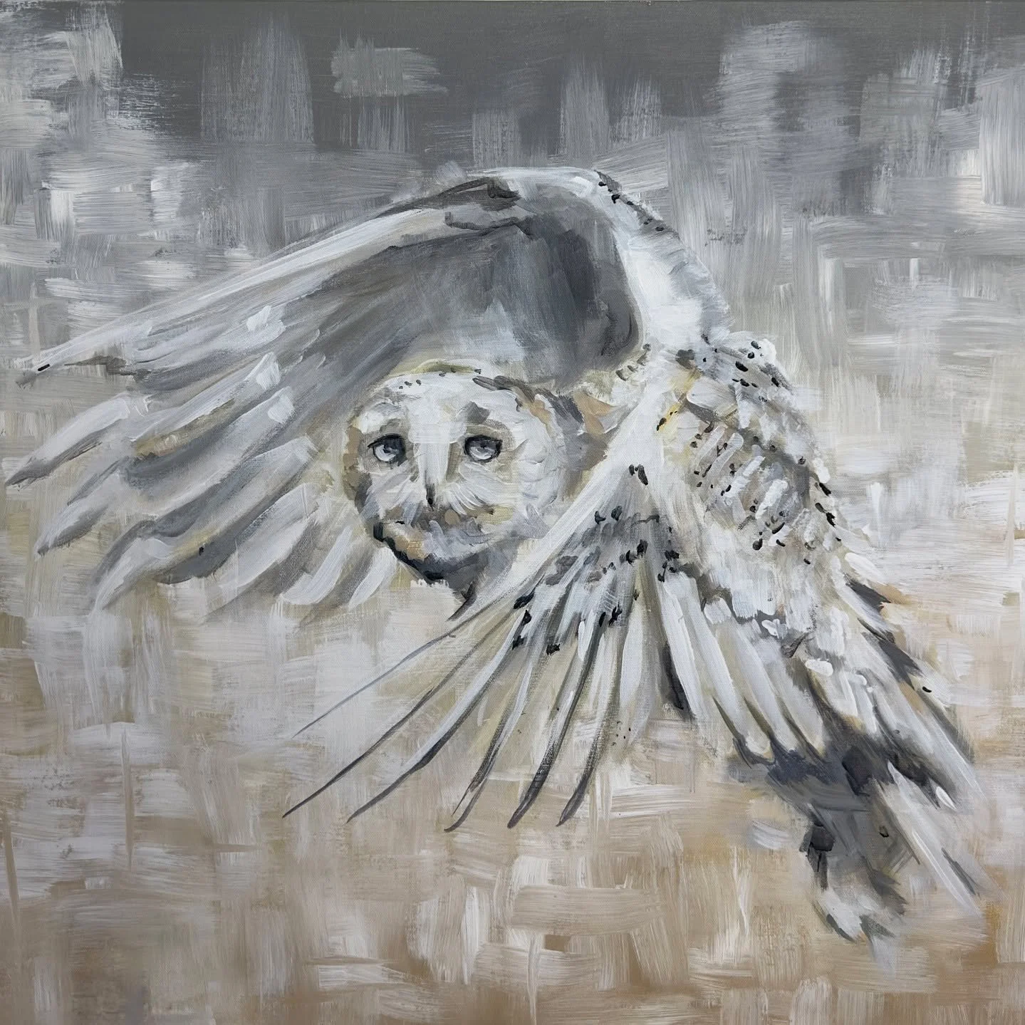 Well I'm 52 now, and besides the absolute dumpster fire the world is in, I  just wanted to have another bitch session (like we used to)
I will start. -It seems I've lost alllll tolerance for jeans on my body, waistbands and/or belts in general, bras 