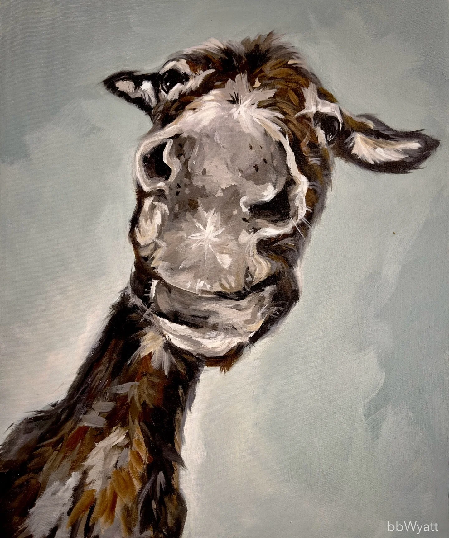 I had a fkg fabulous cry today. Like in the middle of my hike. BIG ugly crying. 

Feeling better now. 

Annnndddd Hello from  Wonder the Donkey he just looks like he seems to be saying&hellip;&rsquo;It will be okay&rsquo;

#donkey #donkeys