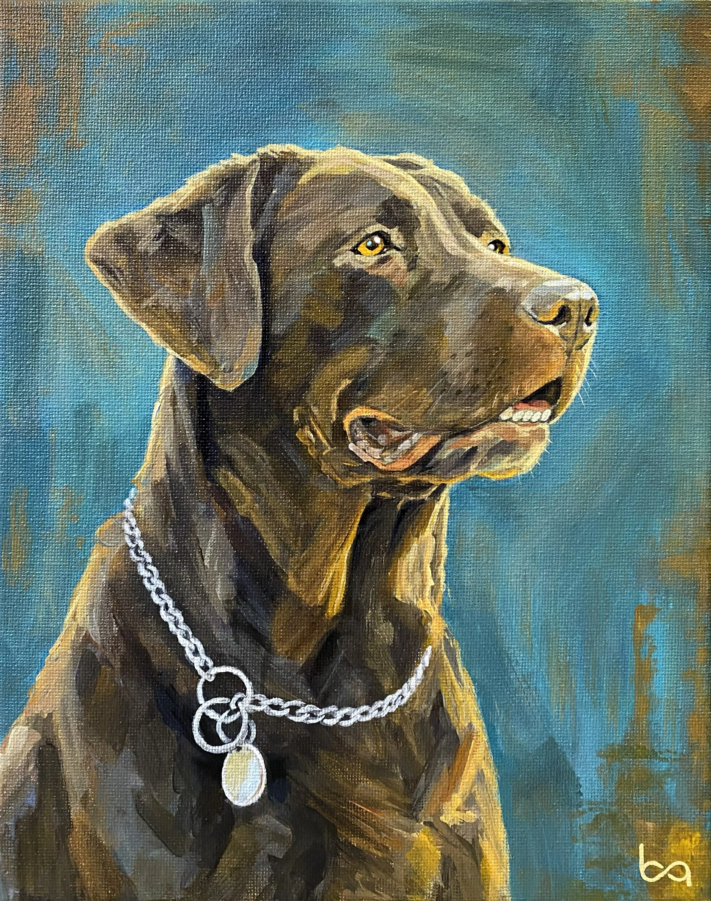 Chocolate Lab.jpg