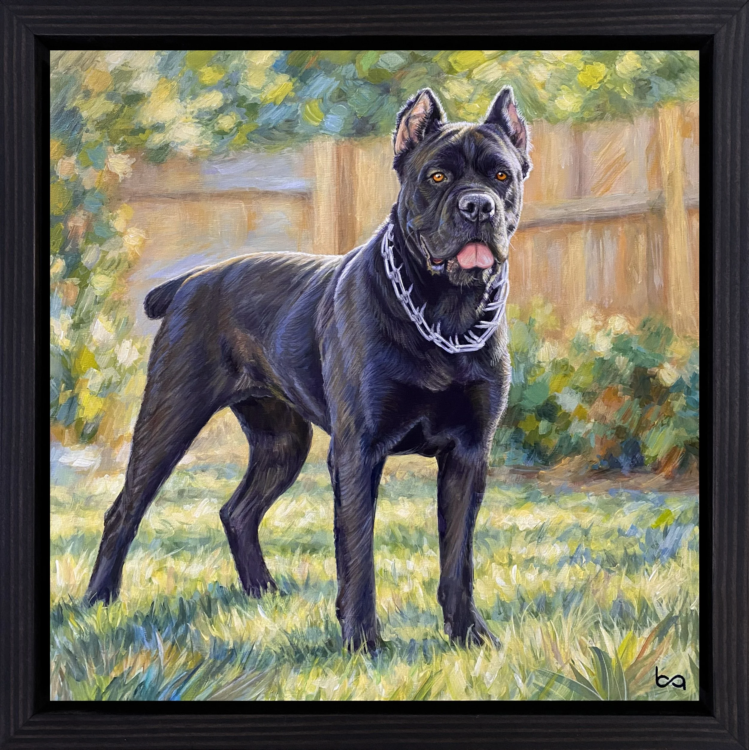 Roc Dog.jpg