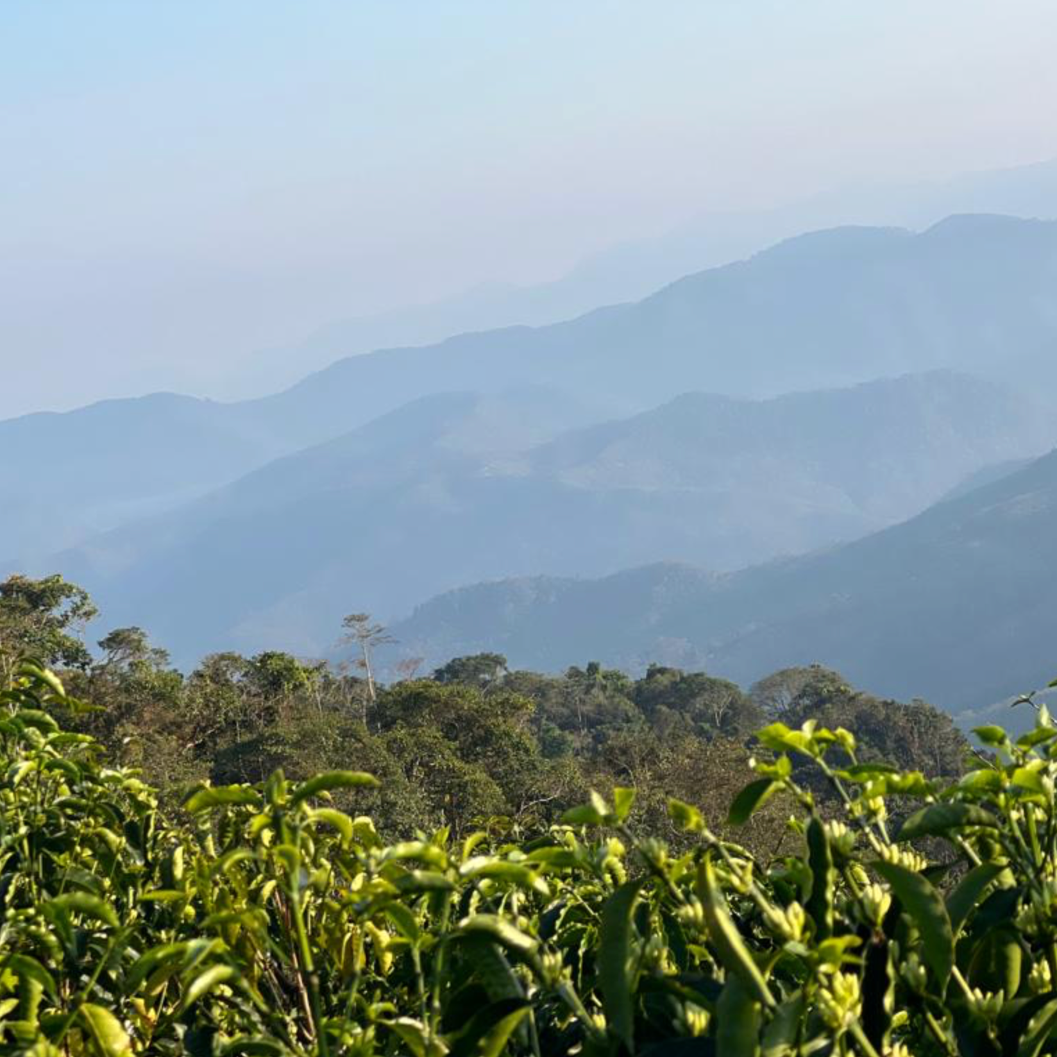 Screenshot+2025-12-02+at+12.21.25%E2%80%AFPM.png (Copy)