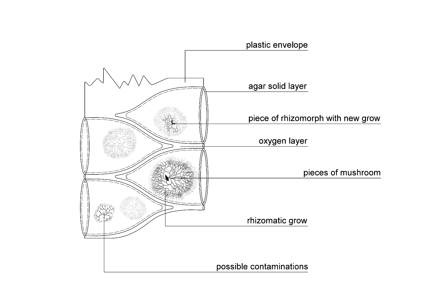 Passive Storefront_Diagram_web.jpg