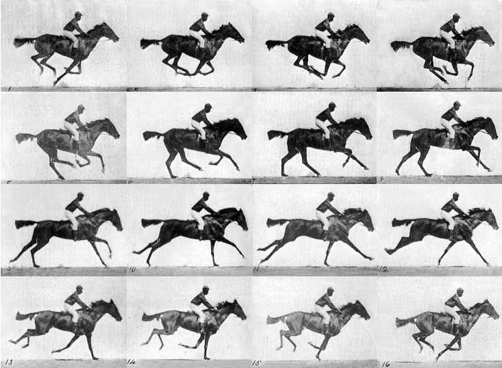 muybridge02.jpeg