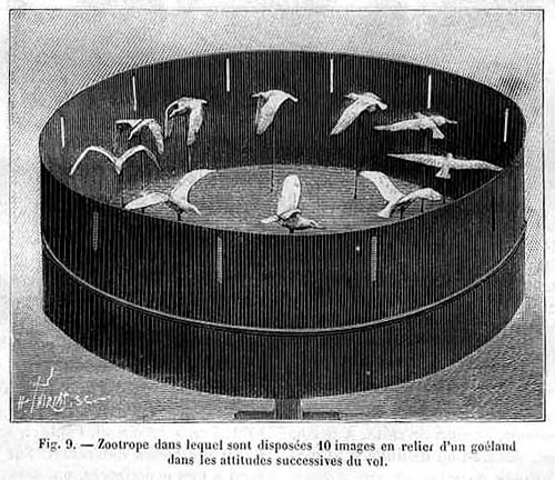Copy of Copy of Marey's 3D zoetrope