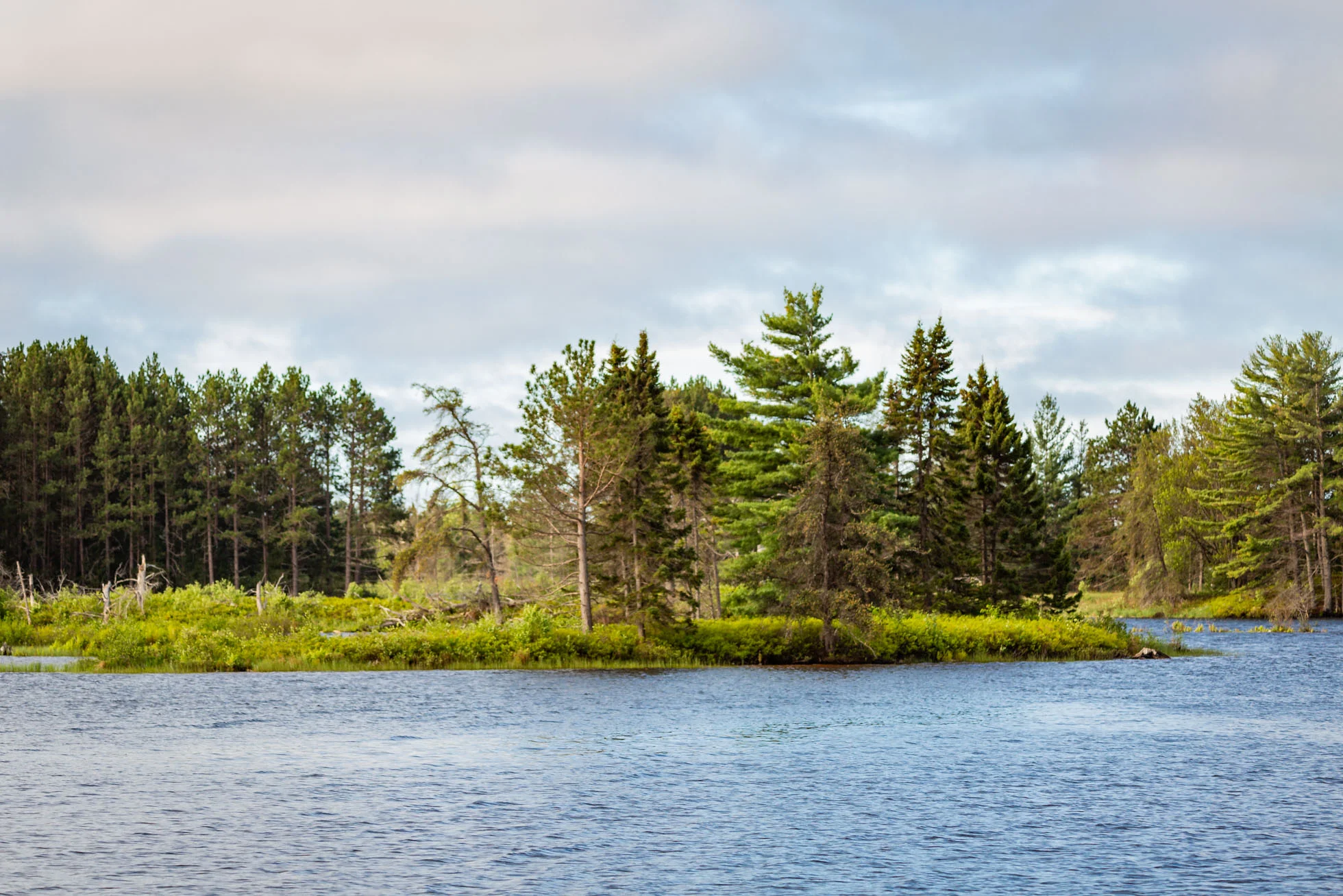 Seney-3.jpg