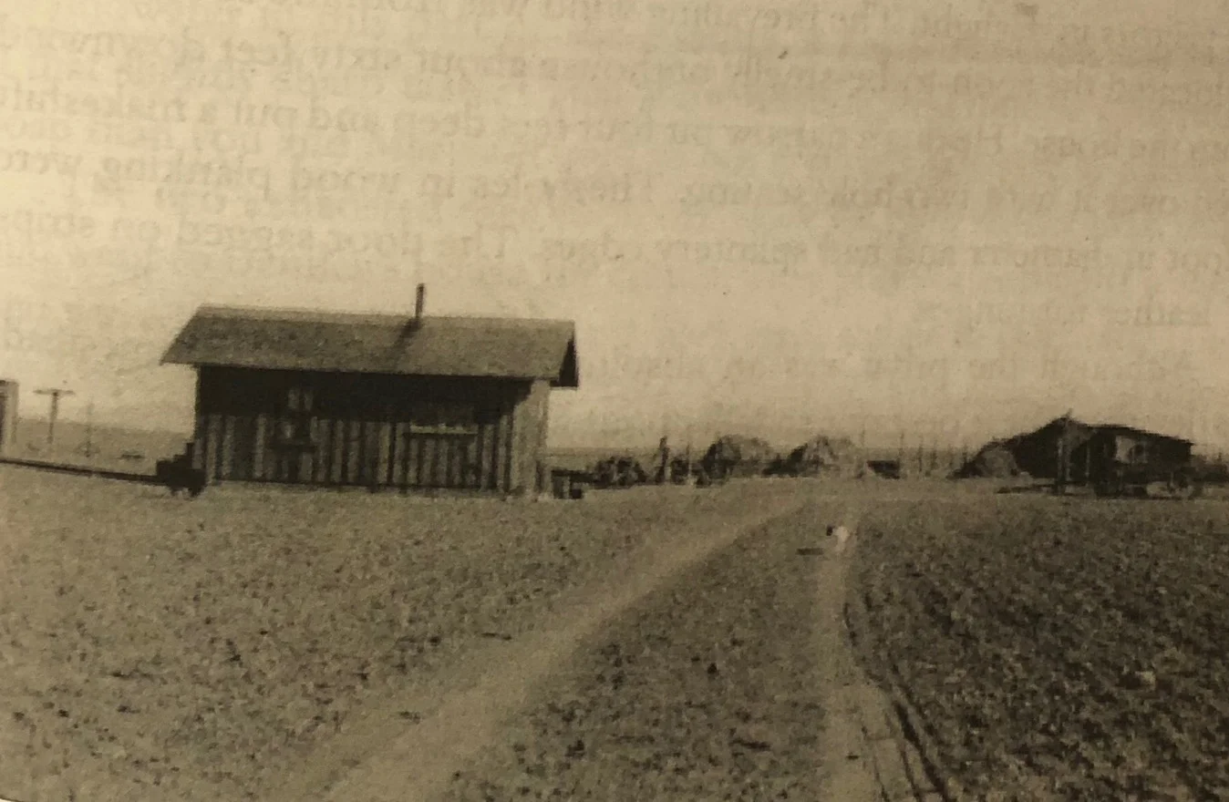 The Johnston Family farm circa 1916.