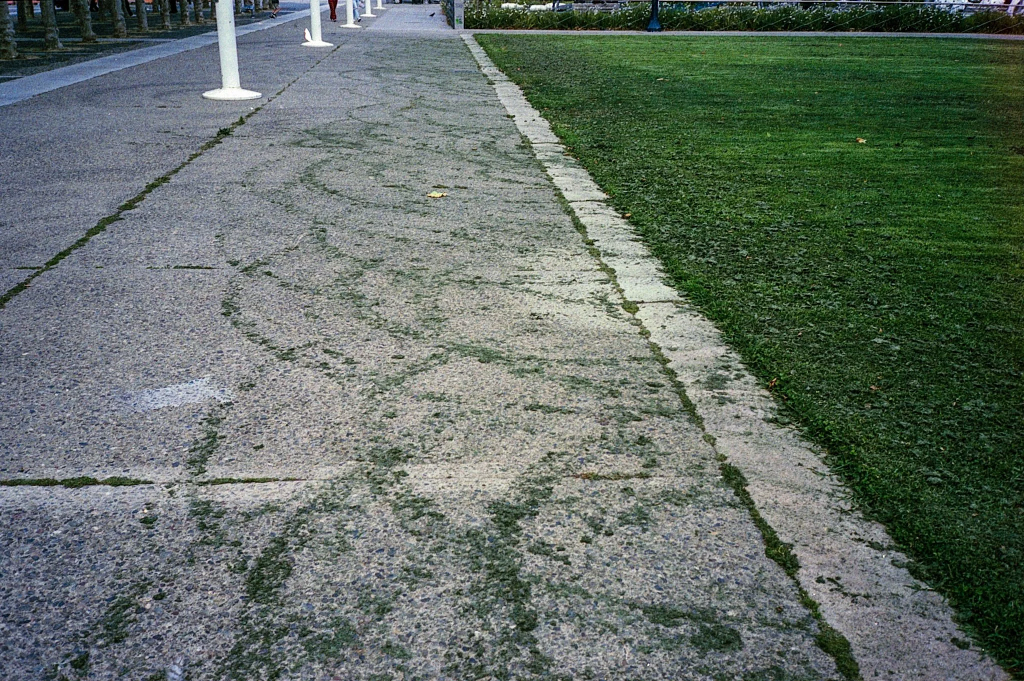12-2021-08-24_35MM_CA_R03-13.jpg