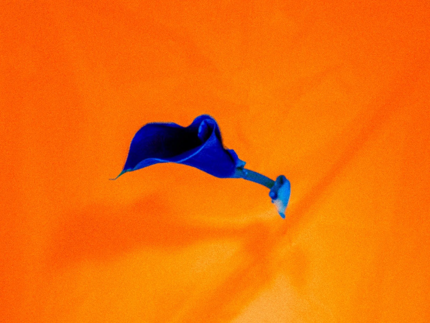 _DSA3415_Web_v1.jpg