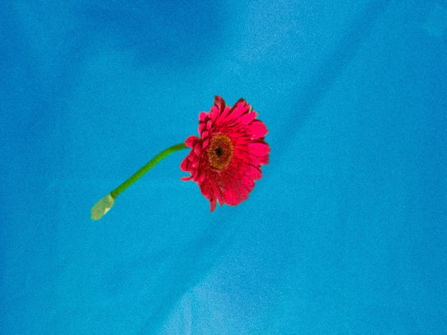 _DSA3486_Web_v1.jpg
