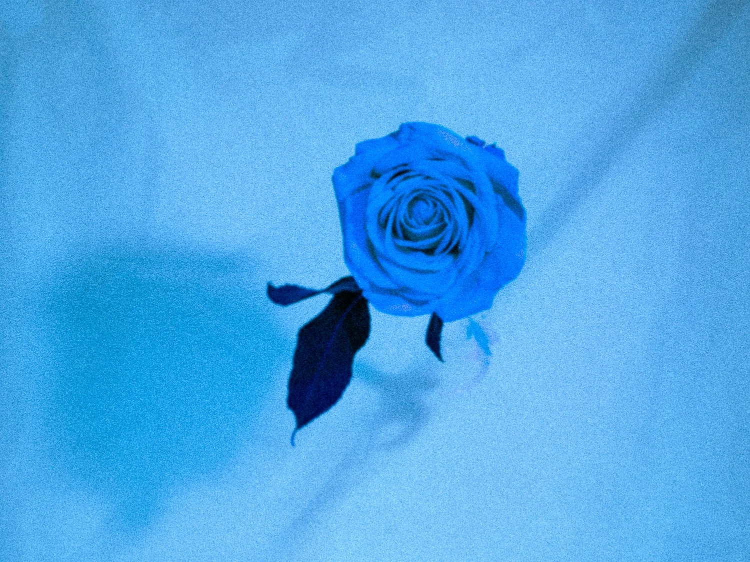 _DSA3530_Web_v1.jpg