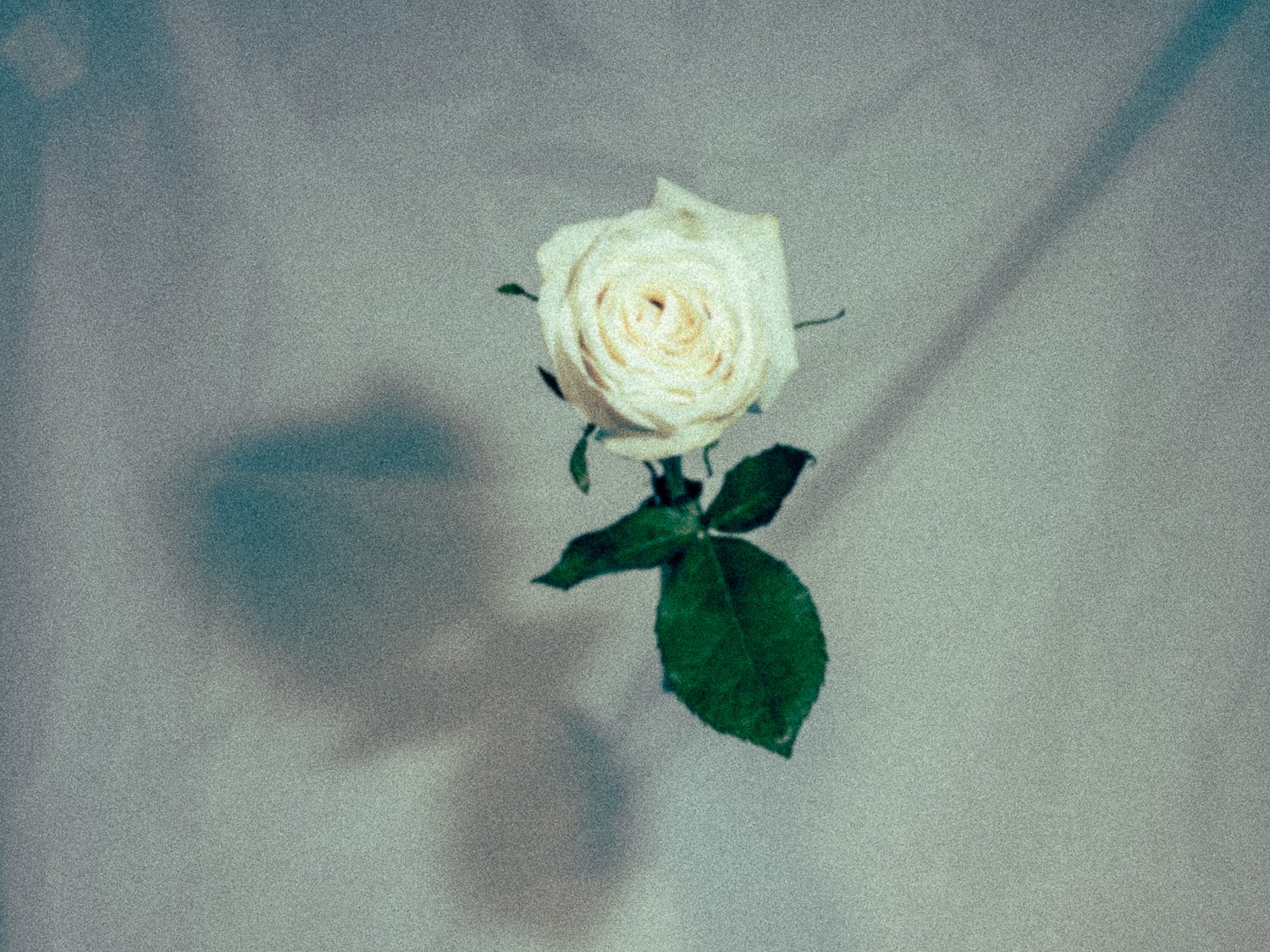 _DSA3570_Web_v1.jpg