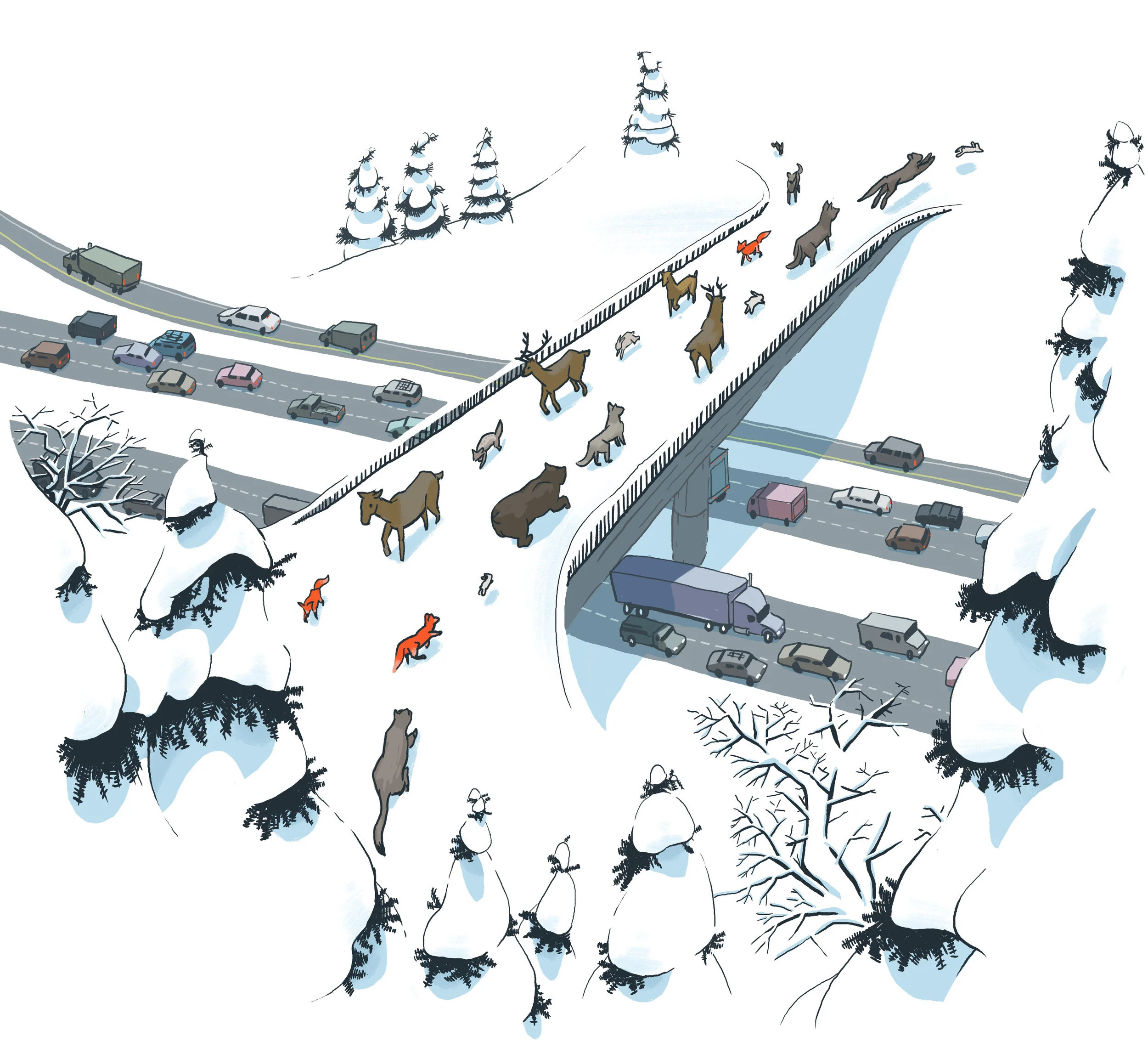 Building_Bridges_final-v2.jpg