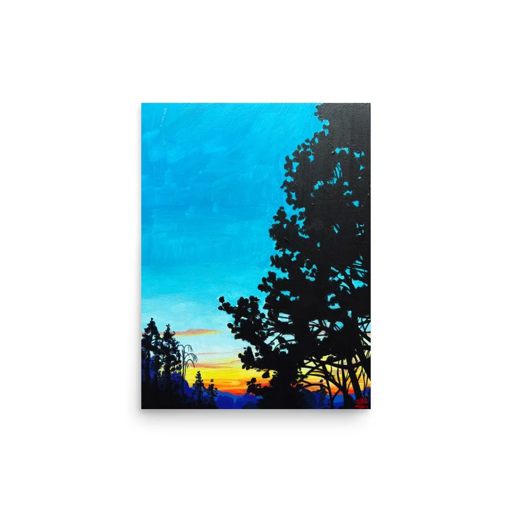 enhanced-matte-paper-poster-(in)-12x16-front-6aad6aa142590.jpg