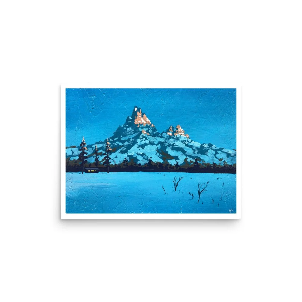 enhanced-matte-paper-poster-(in)-12x16-front-6acd026644a44.jpg
