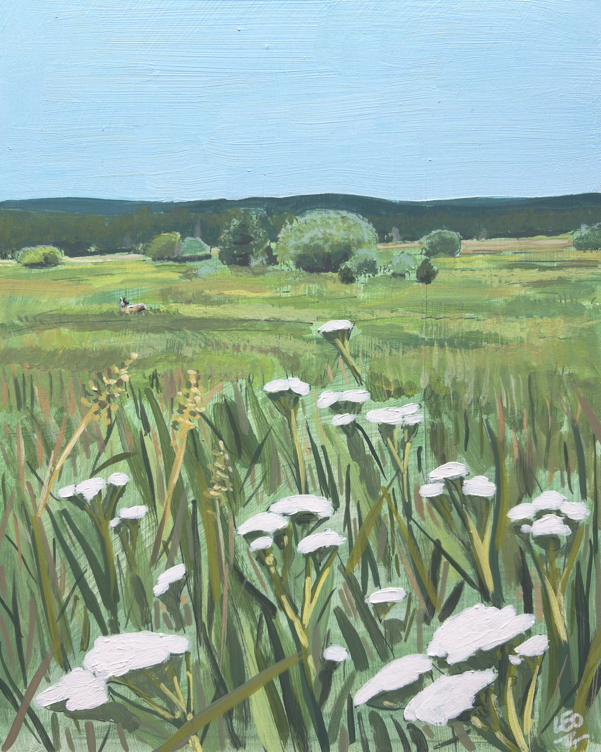 meadow copy.jpg