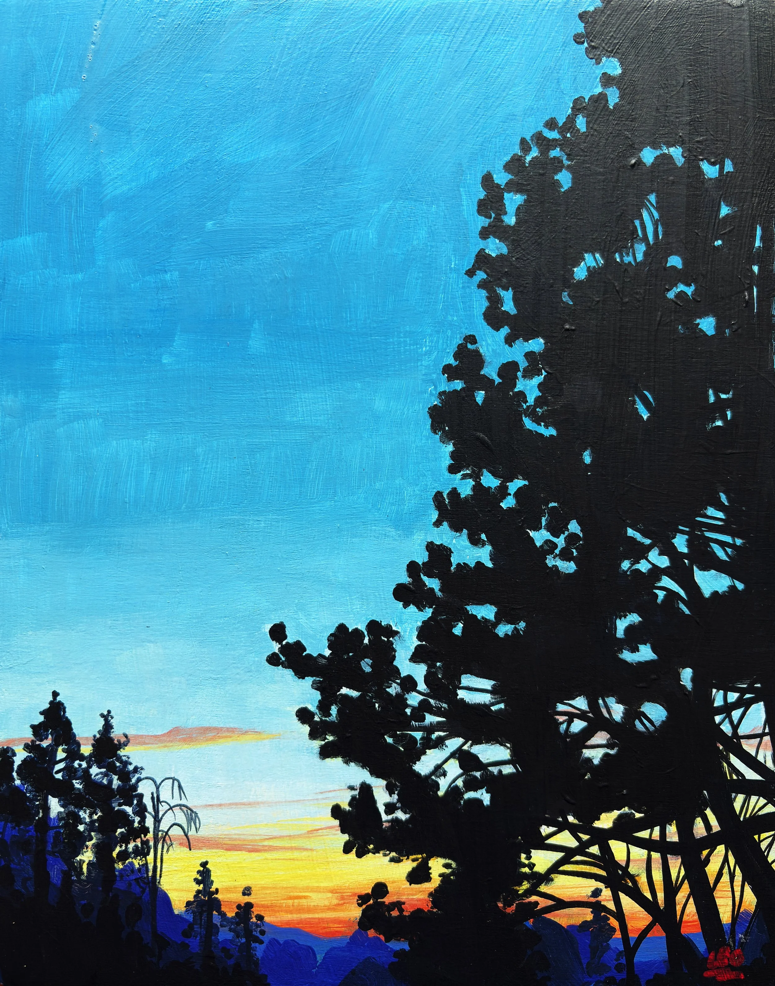 sunsest copy.jpg