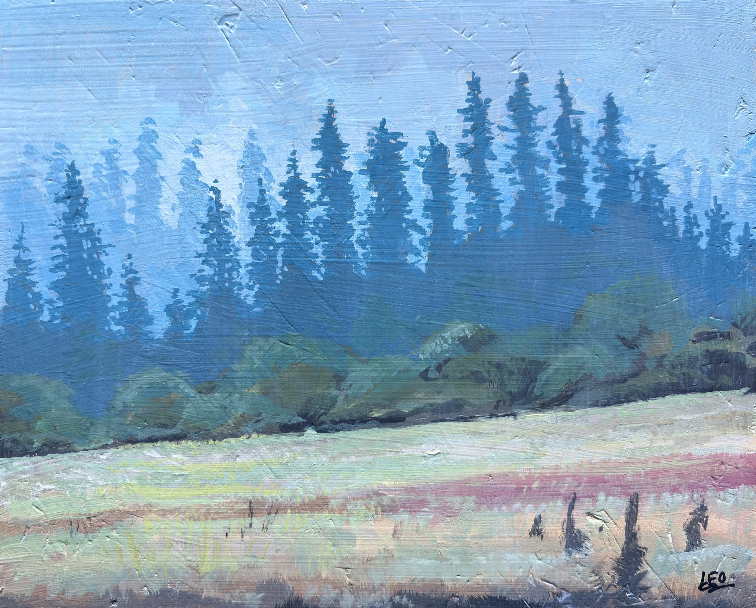 morning mist copy.jpg