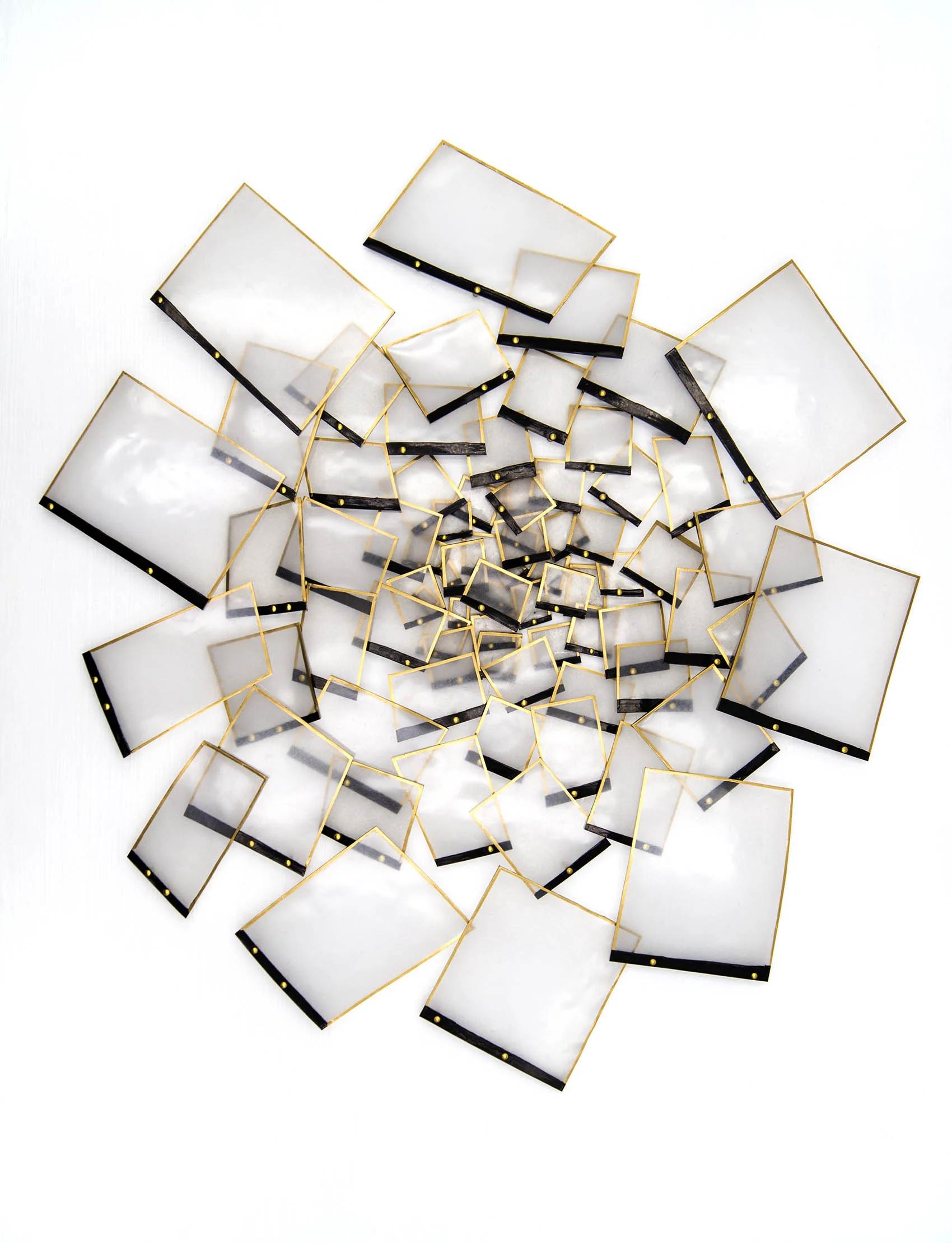 Snapshot Vortex