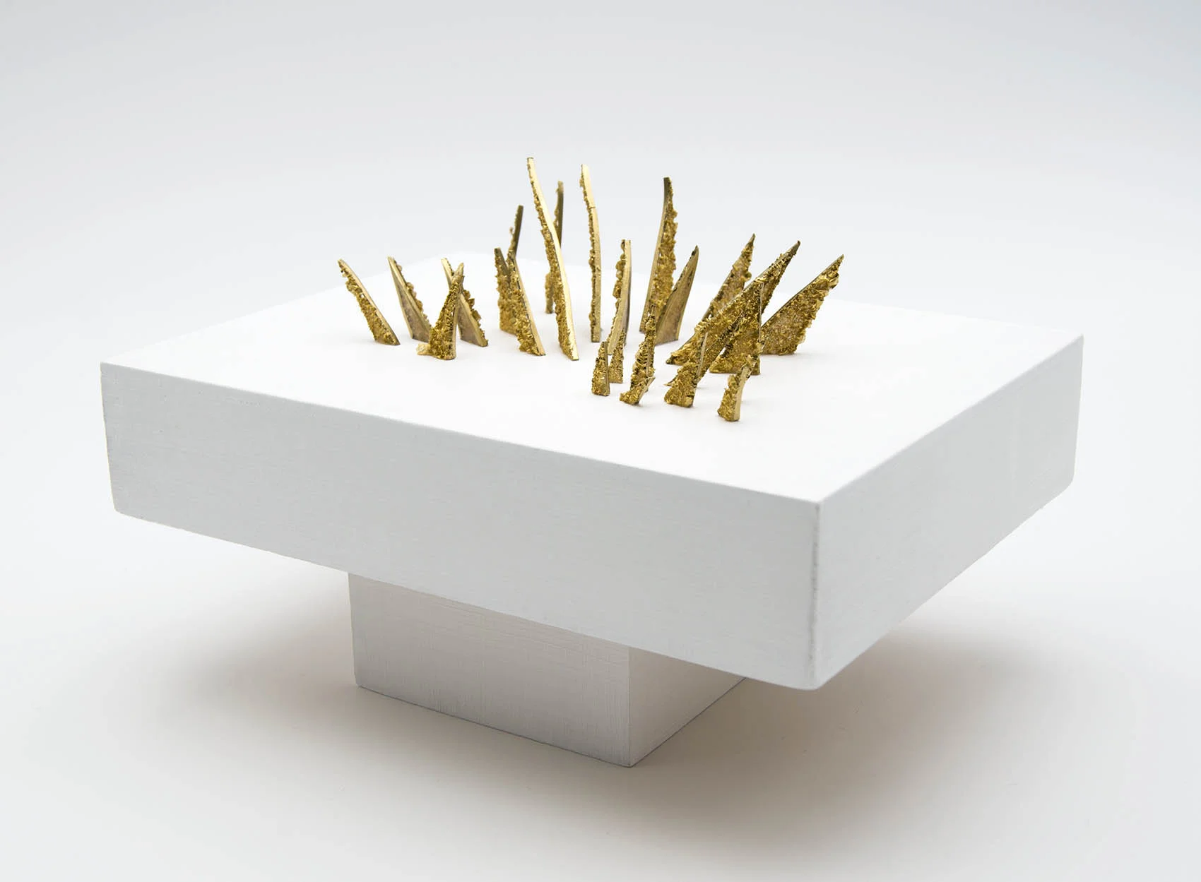 dp3d038-bristly-detail2.jpg