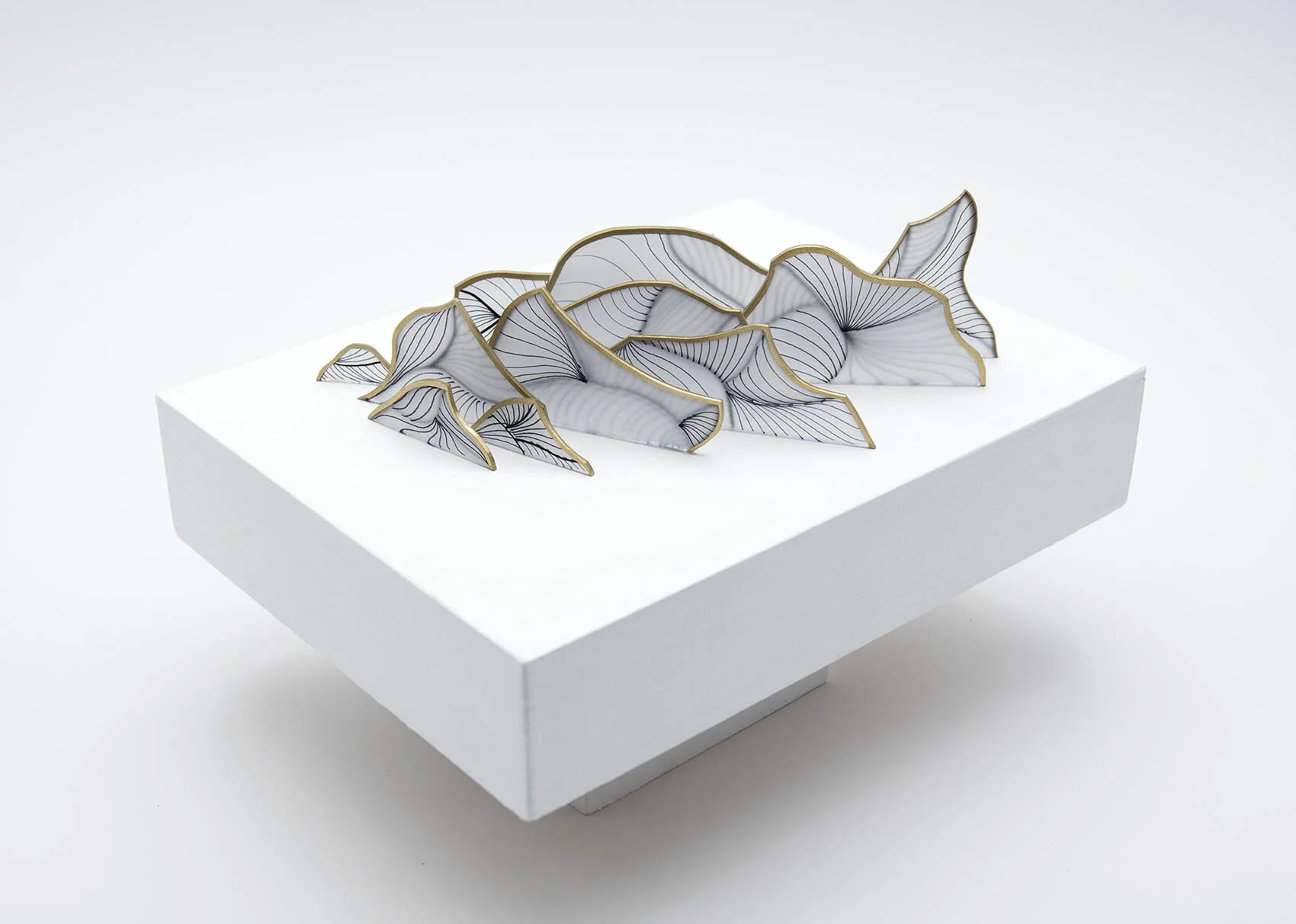 dp3d053-dispersion-study-altview1.jpg