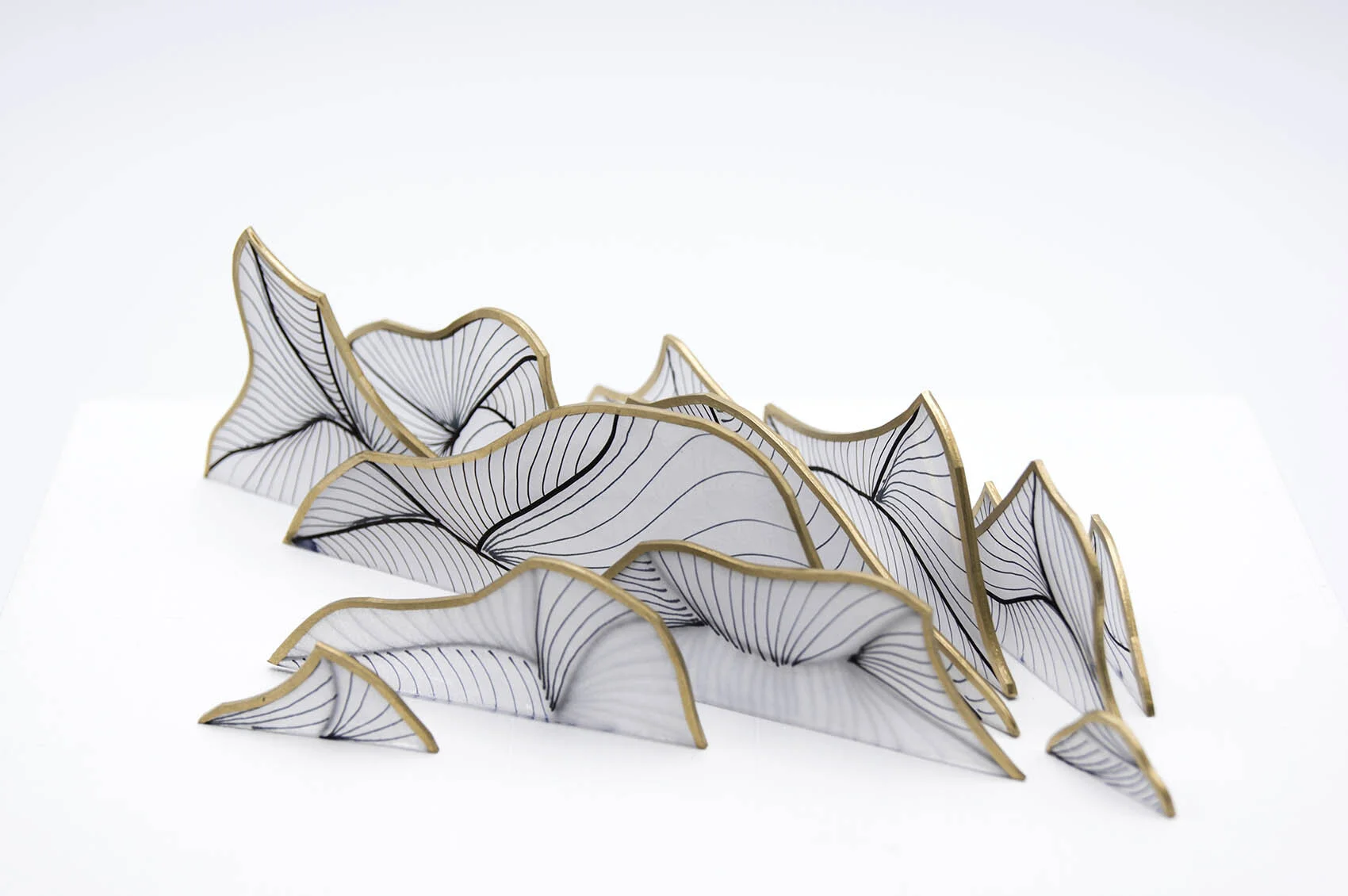 dp3d053-dispersion-study-detail1.jpg