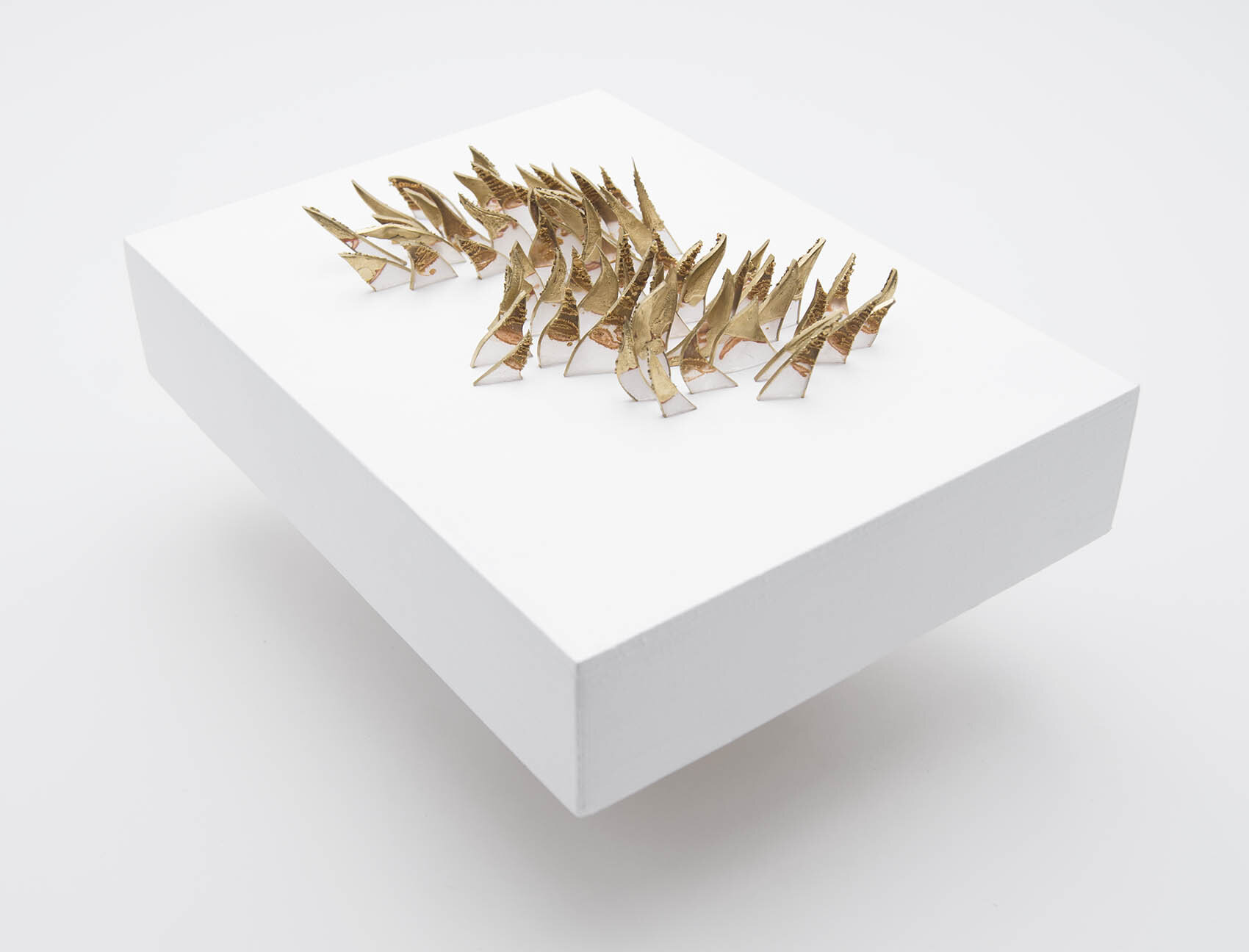dp3d045-shark-teeth-altview.jpg