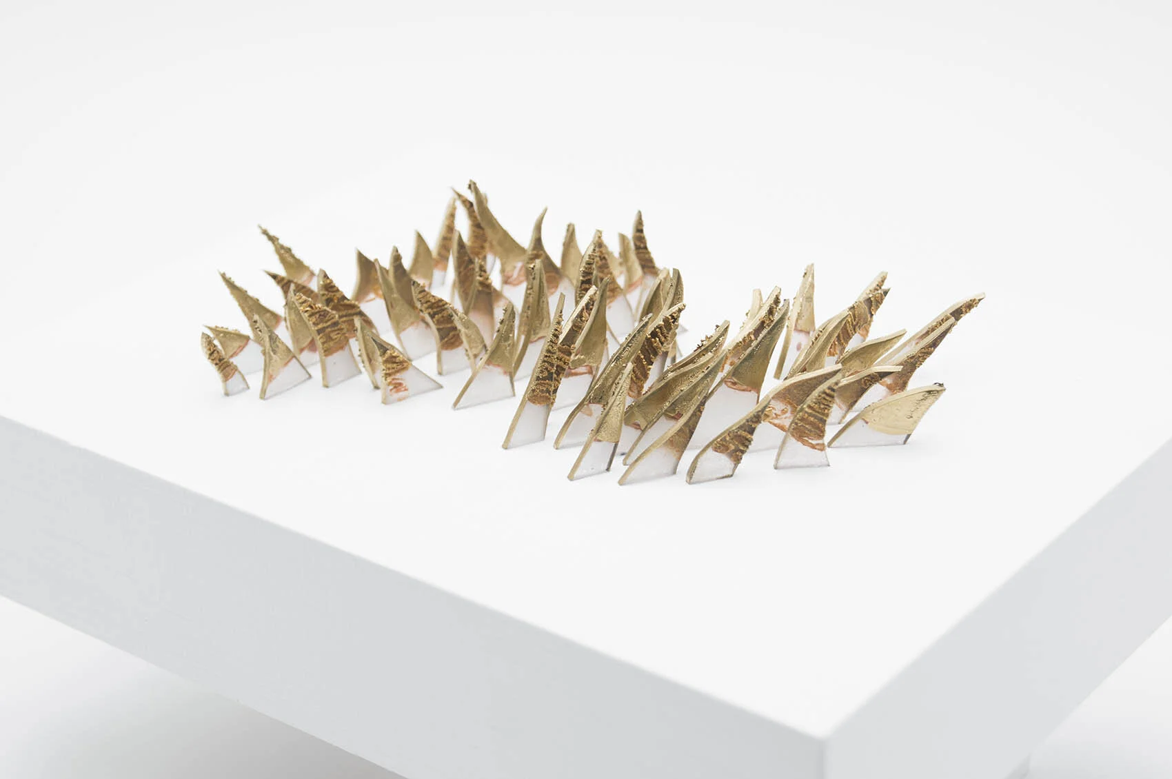 dp3d045-shark-teeth-detail1.jpg