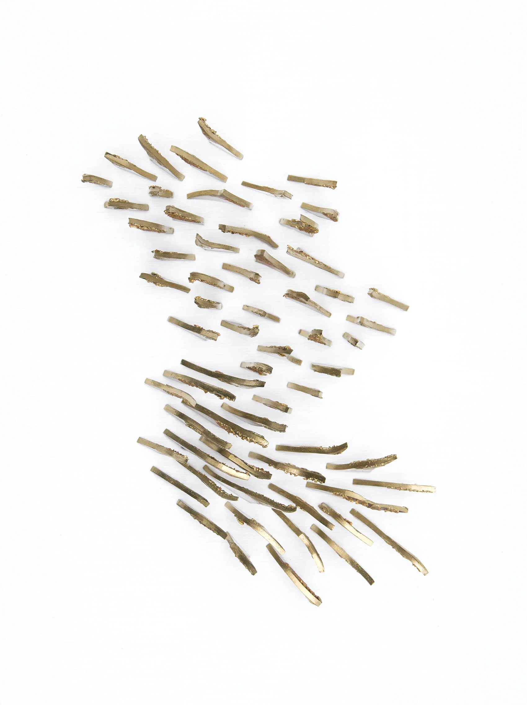 Shark Teeth