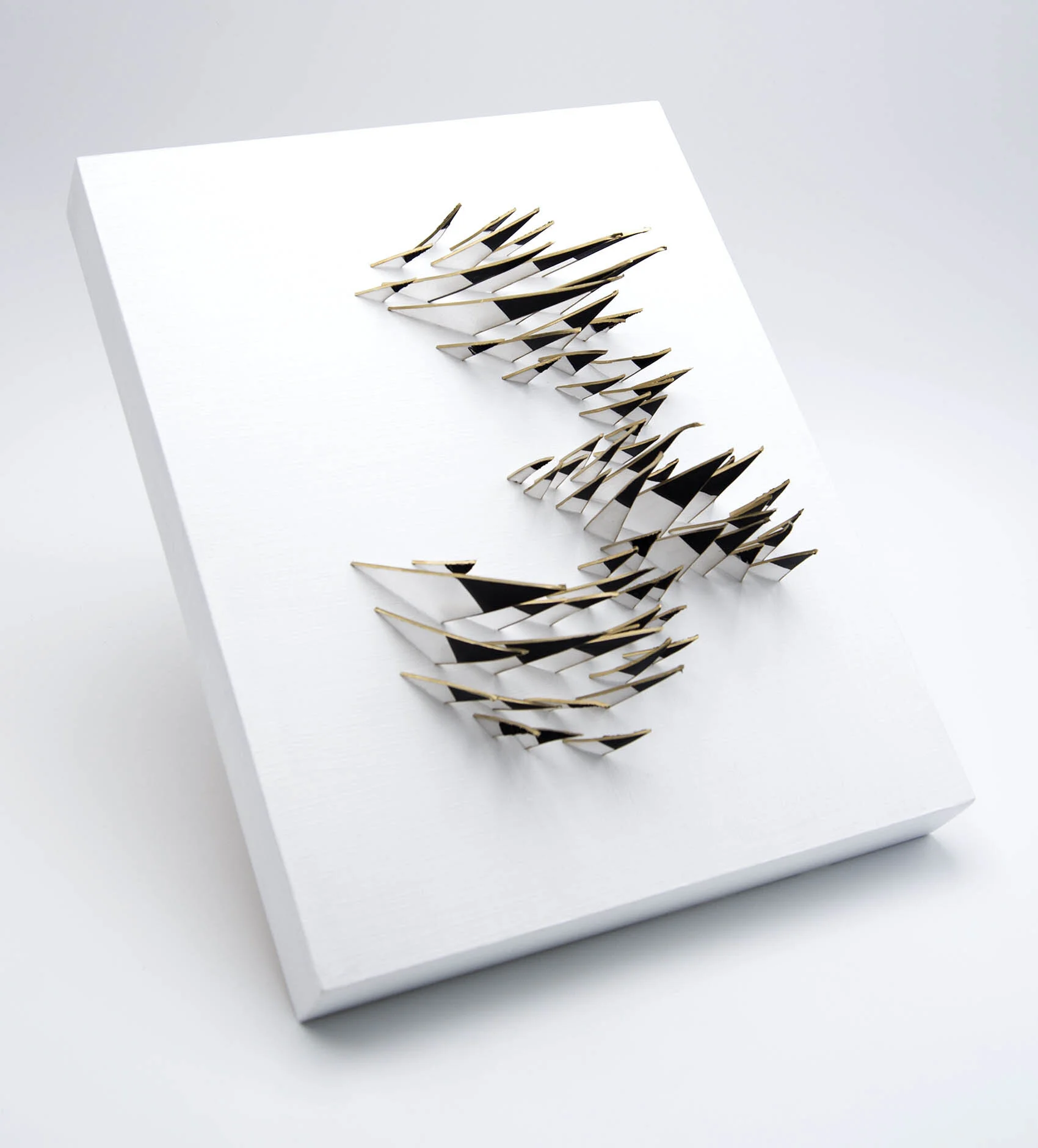 dp3d044-quills-angle.jpg
