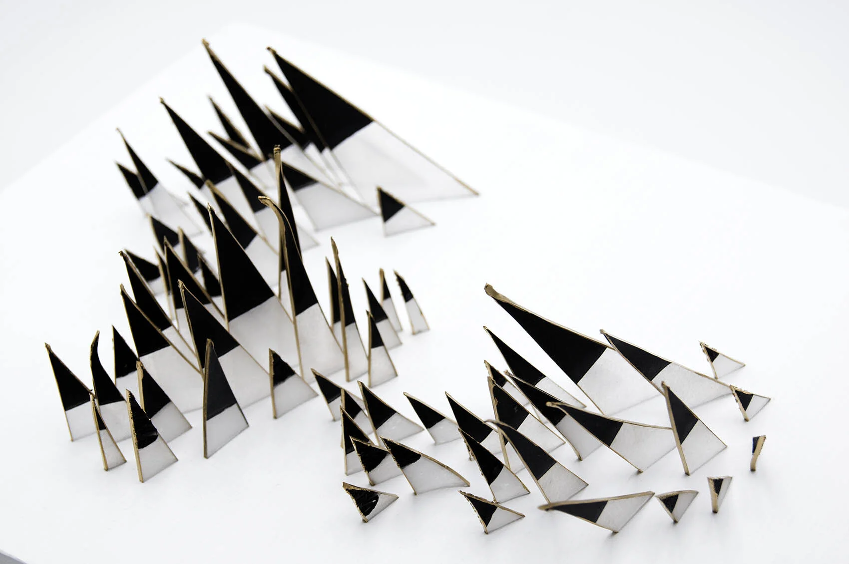 dp3d044-quills-detail1.jpg