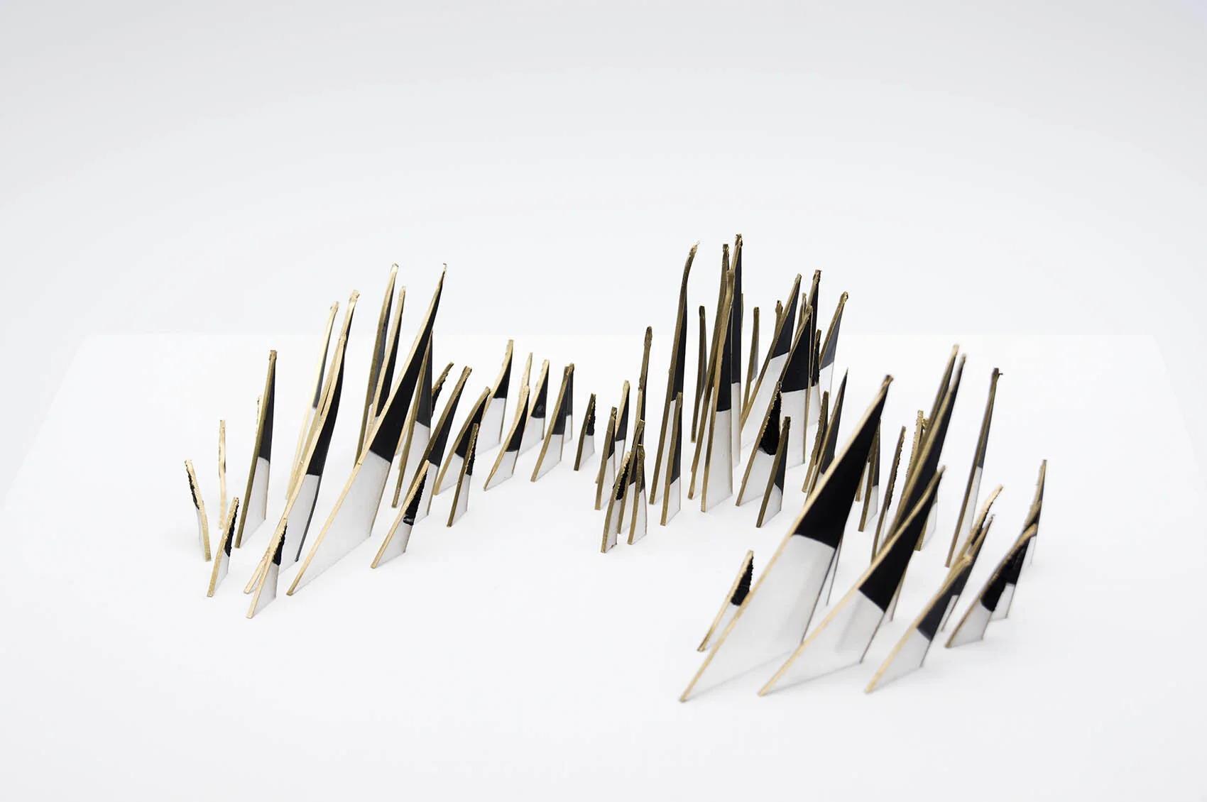dp3d044-quills-detail2.jpg