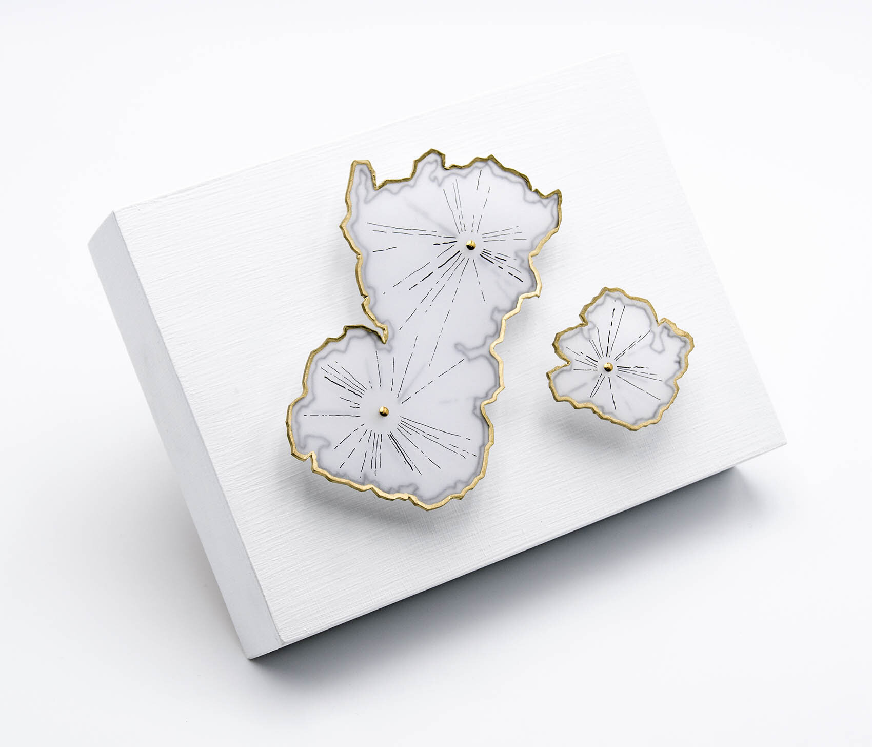 dp3d043-lichens-study-angle.jpg