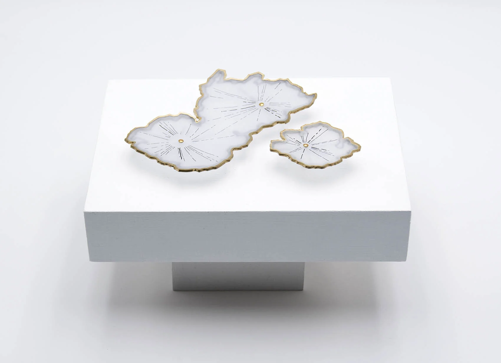 dp3d043-lichens-study-detail2.jpg