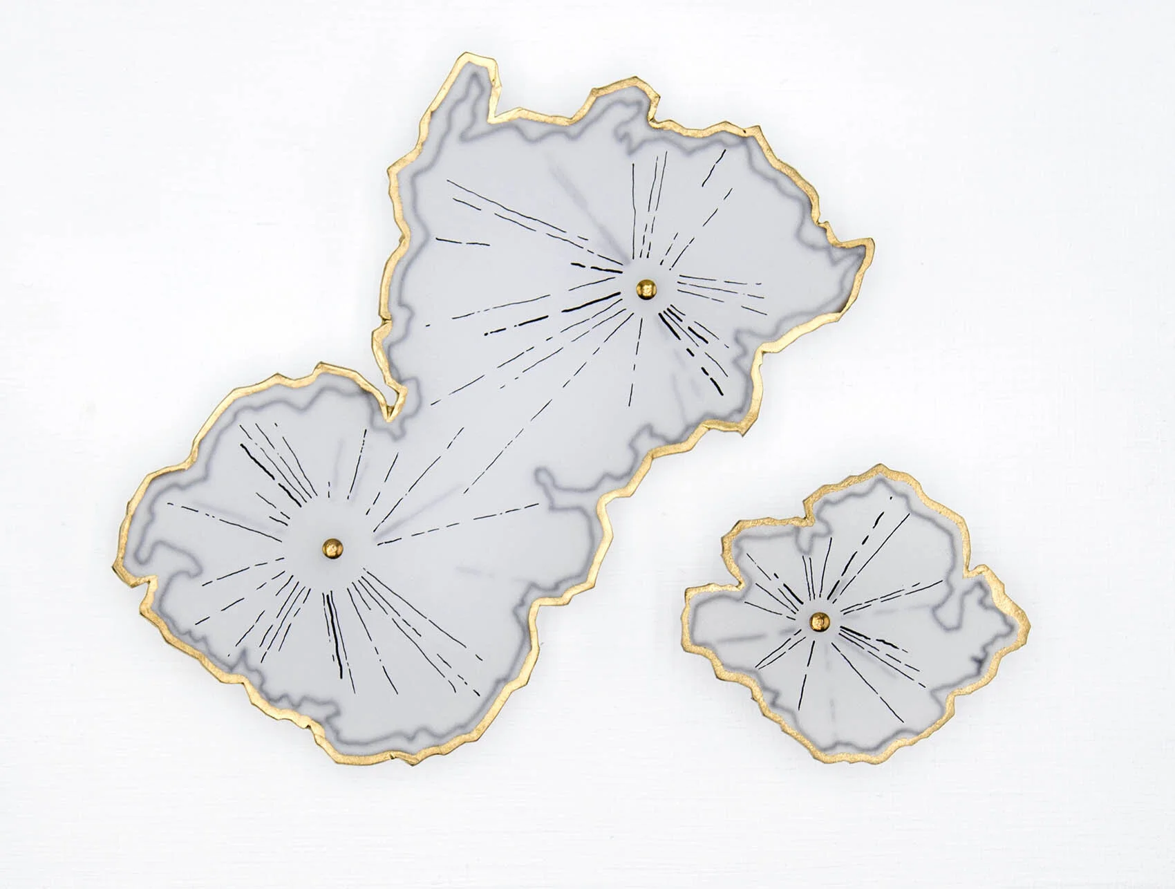 Lichens Study