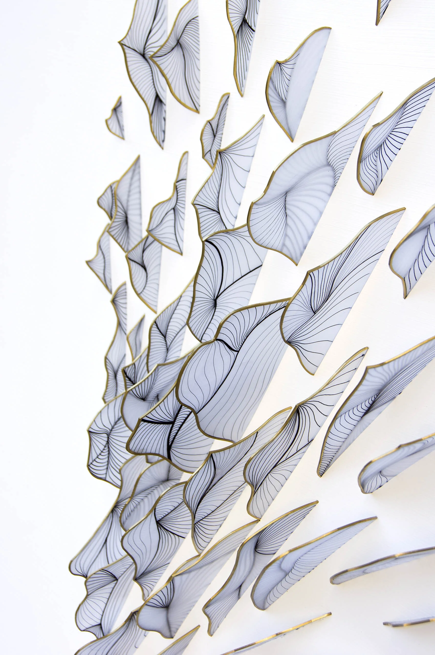 dp3d061-great-dispersion-detail1.jpg