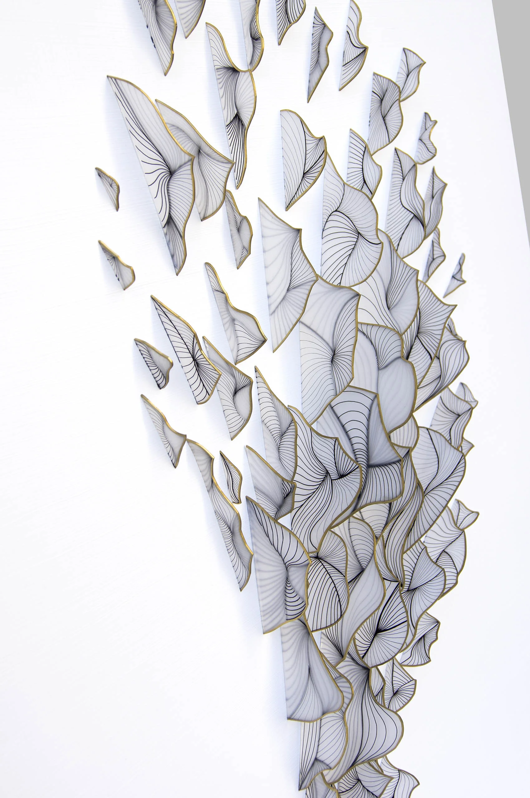 dp3d061-great-dispersion-detail3.jpg